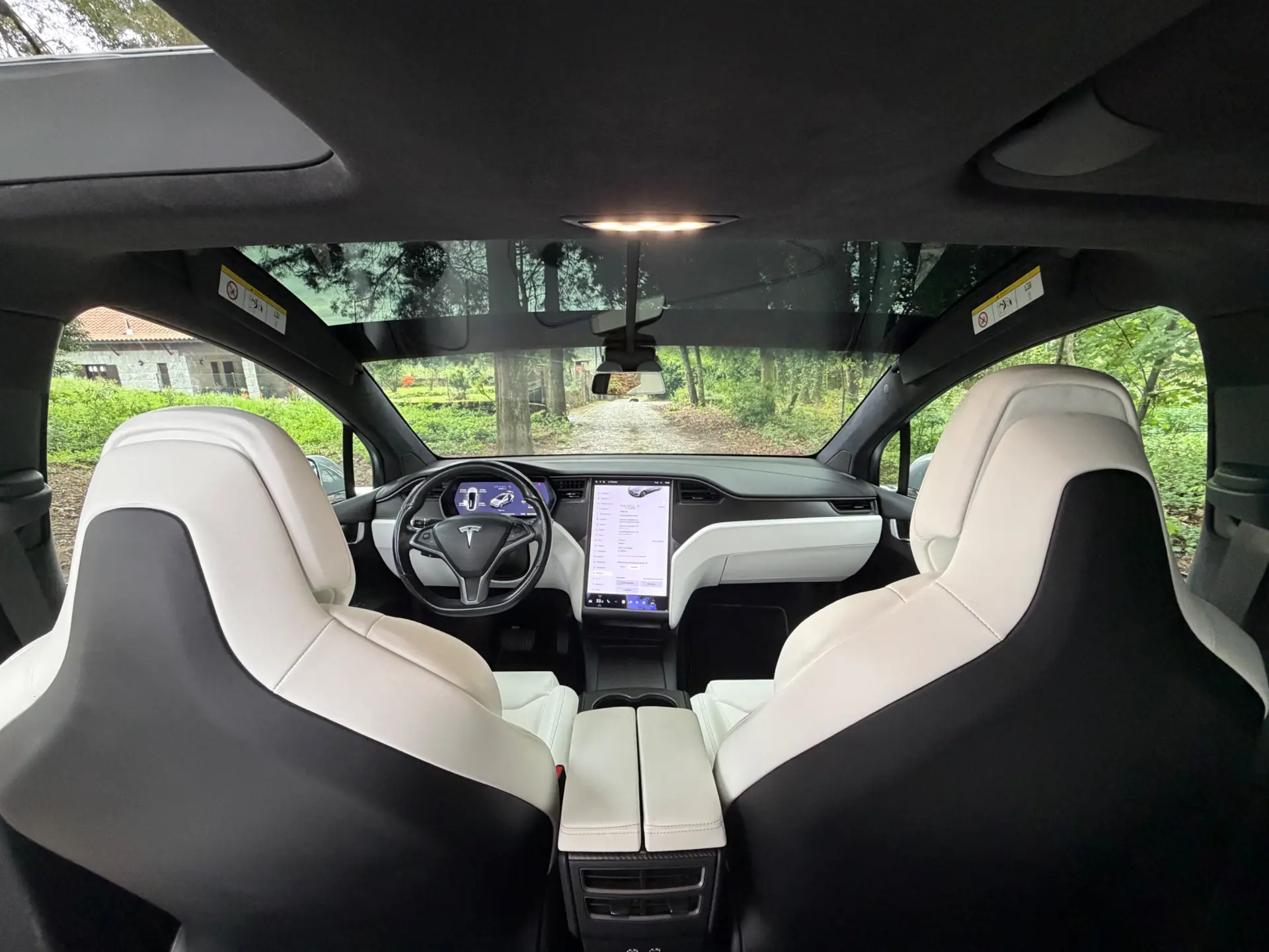 Tesla Model X 100D 10