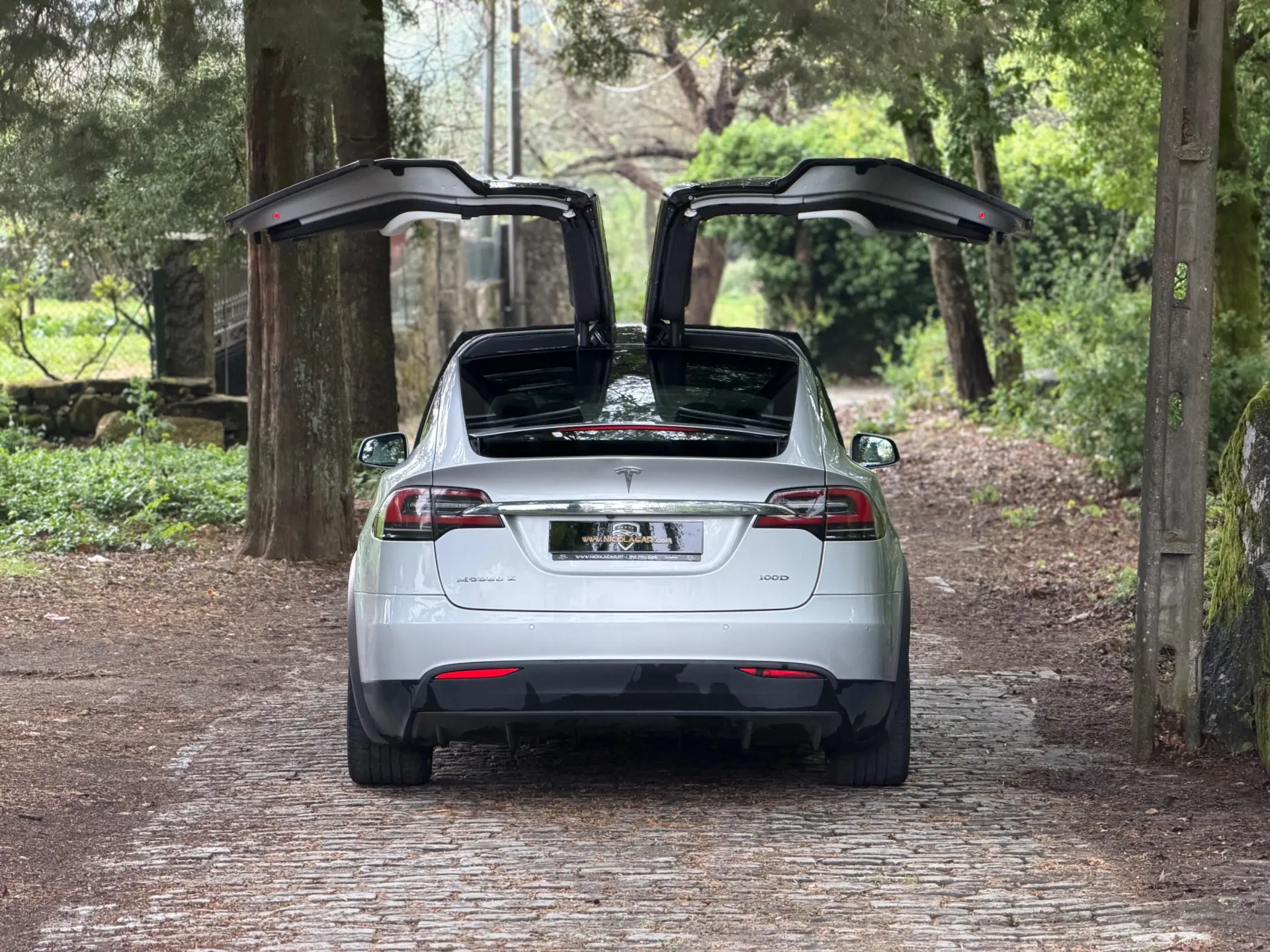 Tesla Model X 100D 36