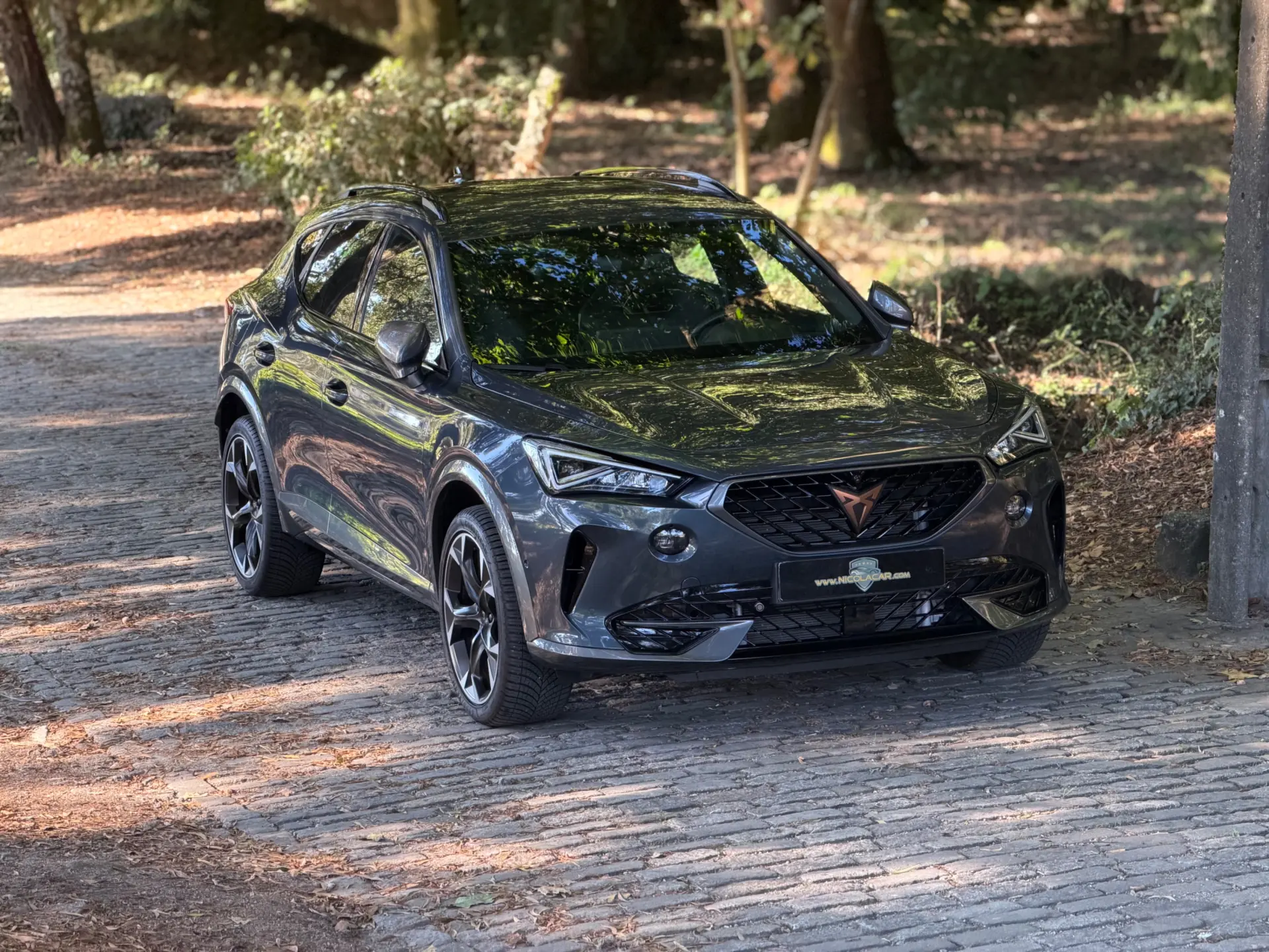 Cupra Formentor 1.4 e-Hybrid DSG 2