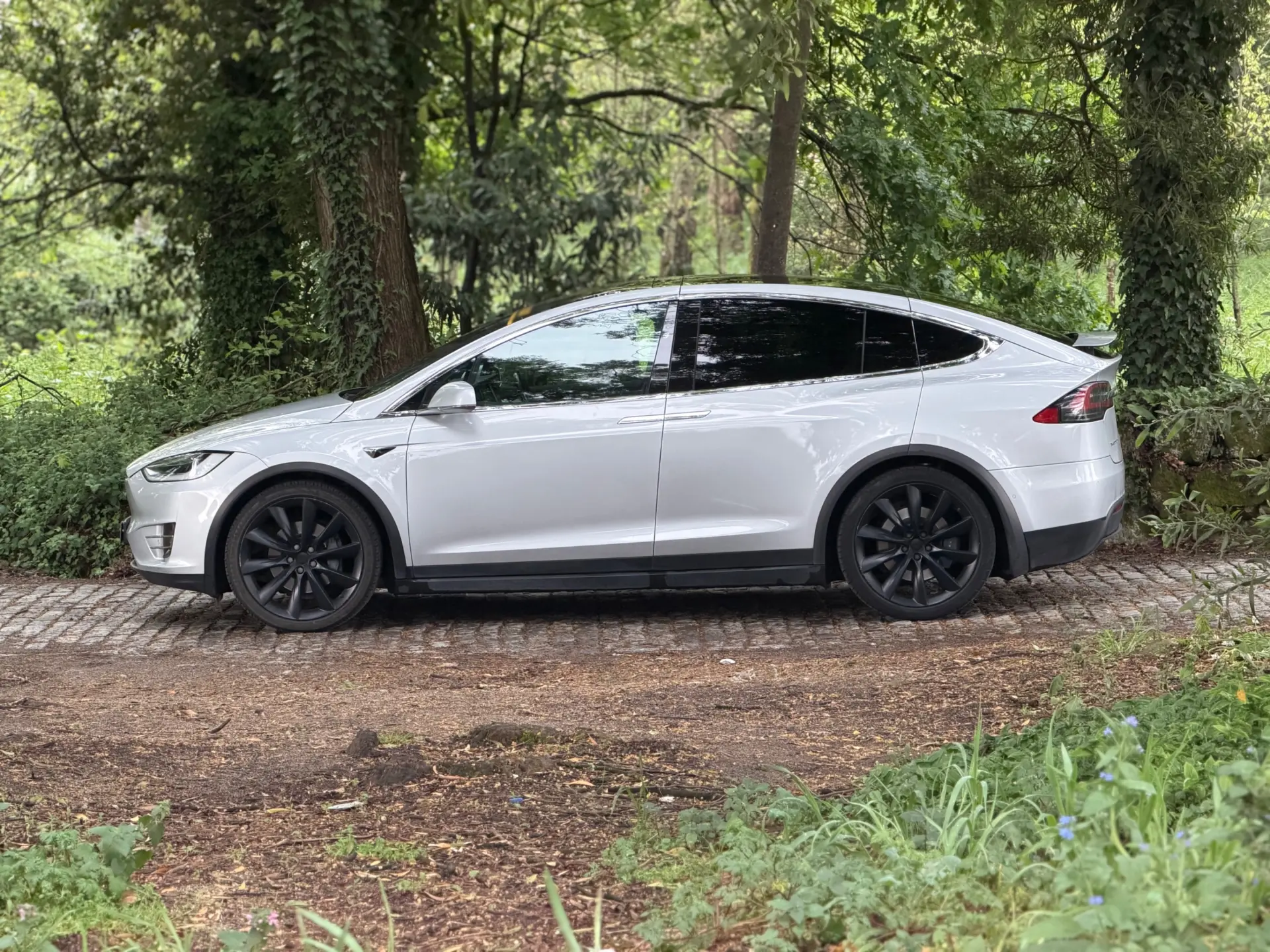 Tesla Model X 100D 8