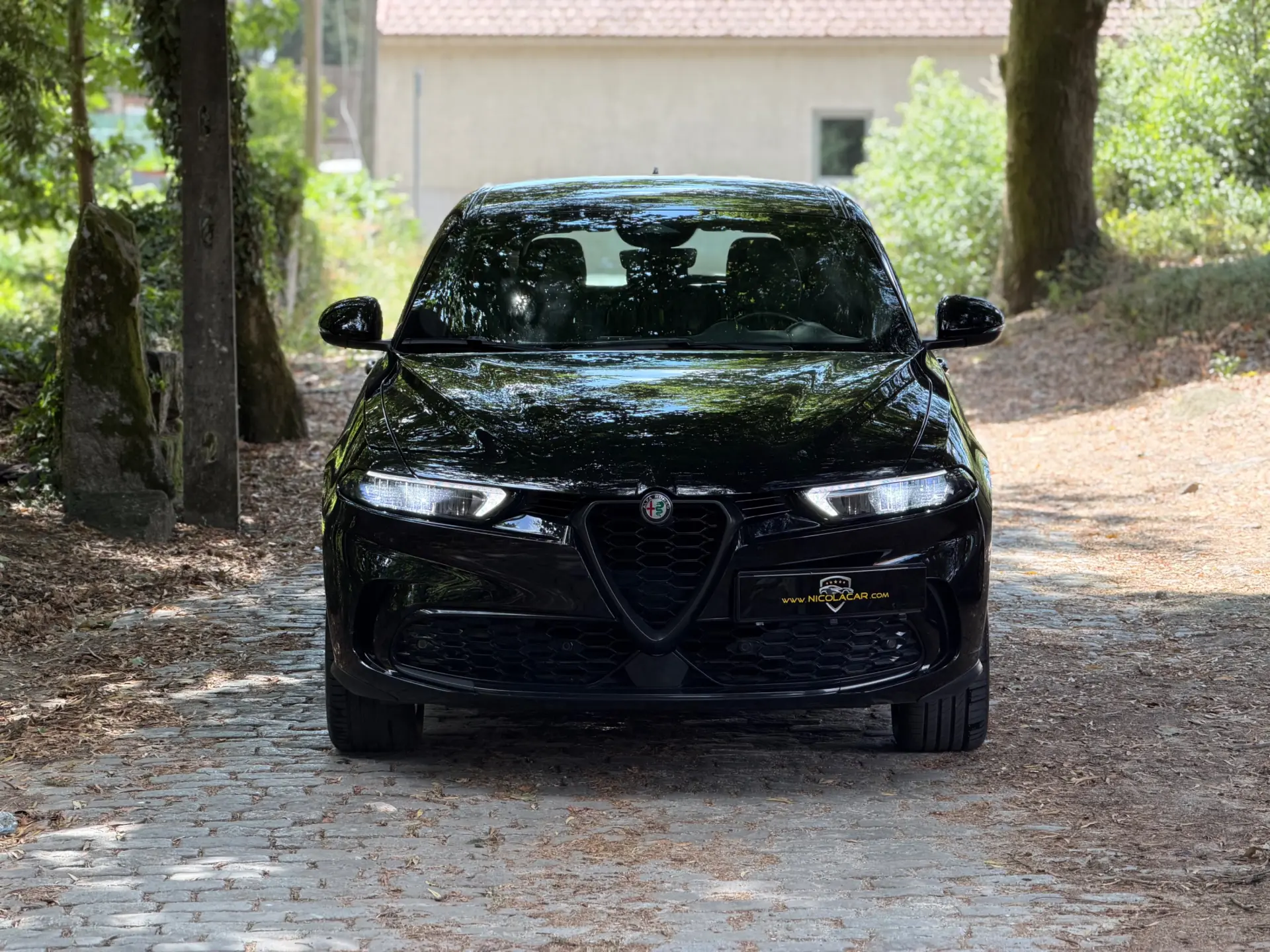 Alfa Romeo Tonale Sprint 36