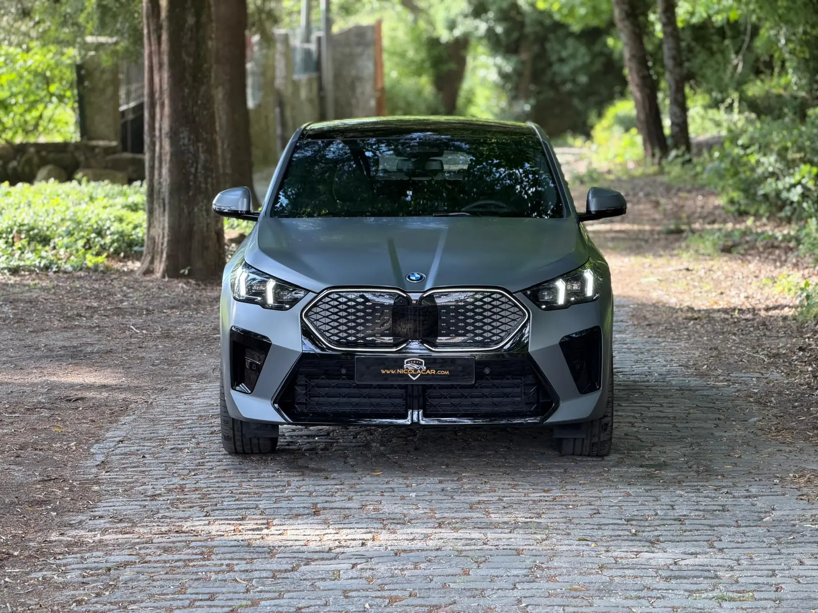 BMW iX2 xDrive30 Pack Desportivo M Pro 2