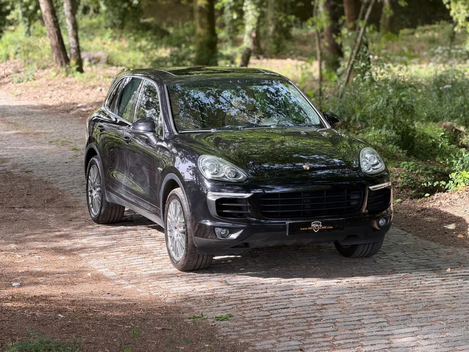 Porsche Cayenne S E-Hybrid Platinum Edition 36
