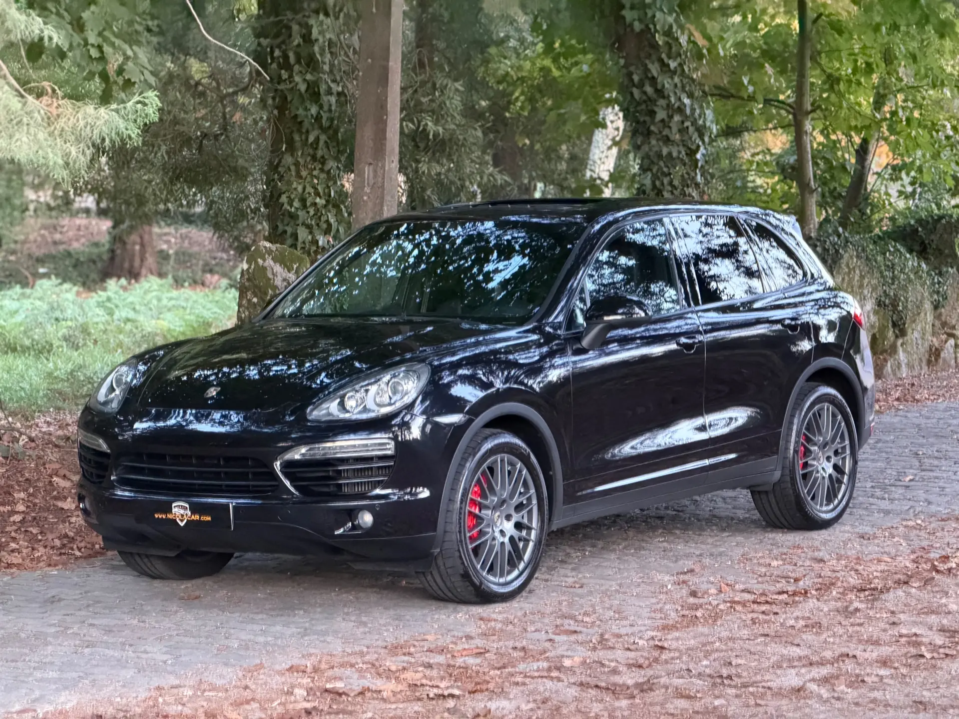 Porsche Cayenne Platinum Edition 4