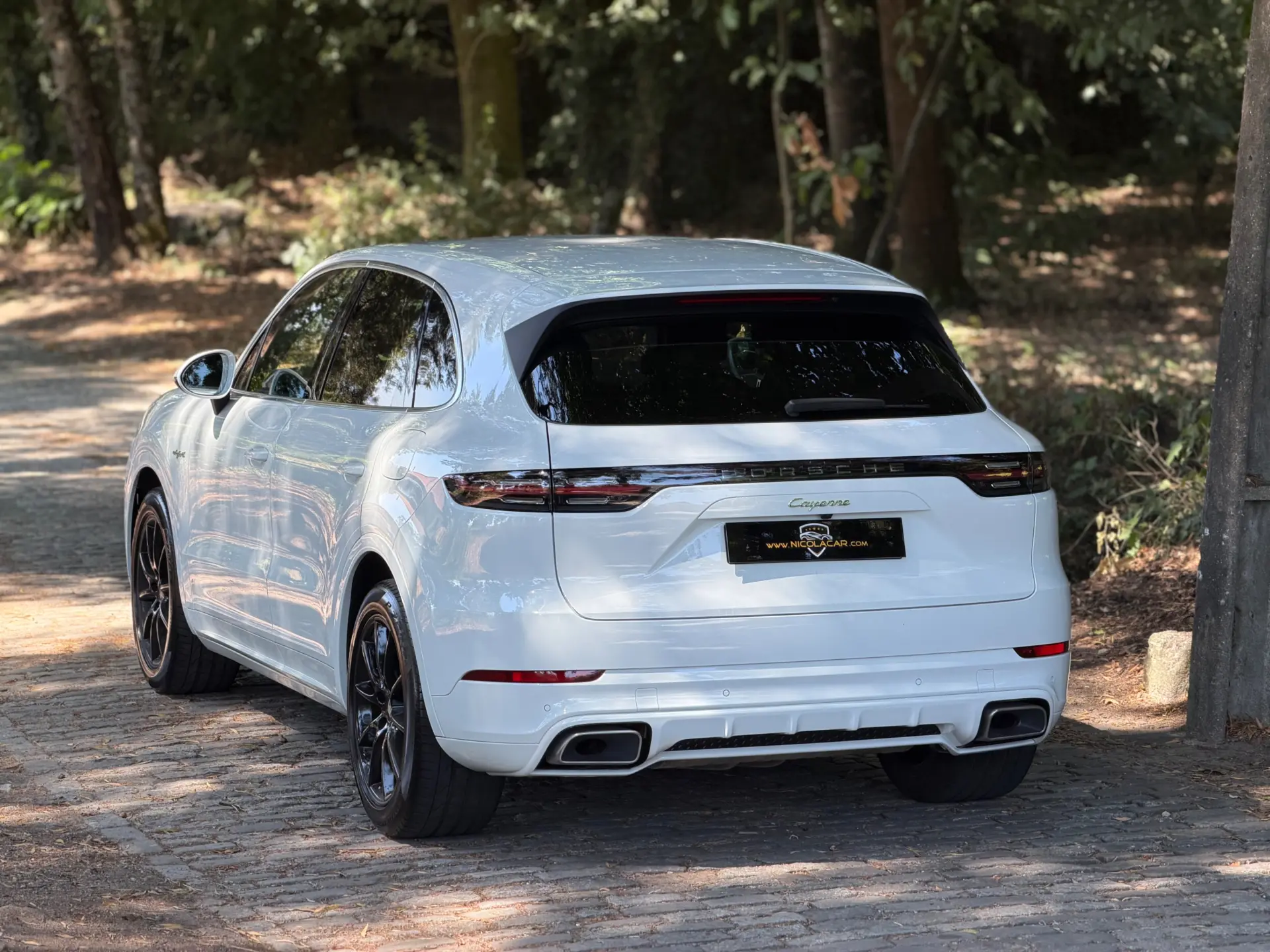 Porsche Cayenne E-Hybrid 59