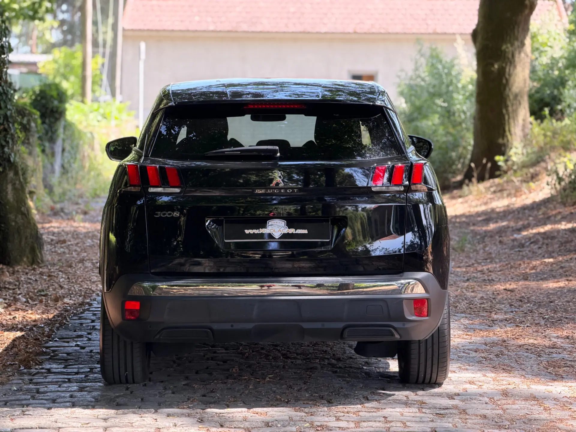 Peugeot 3008 1.2 PureTech Allure Pack EAT8 61
