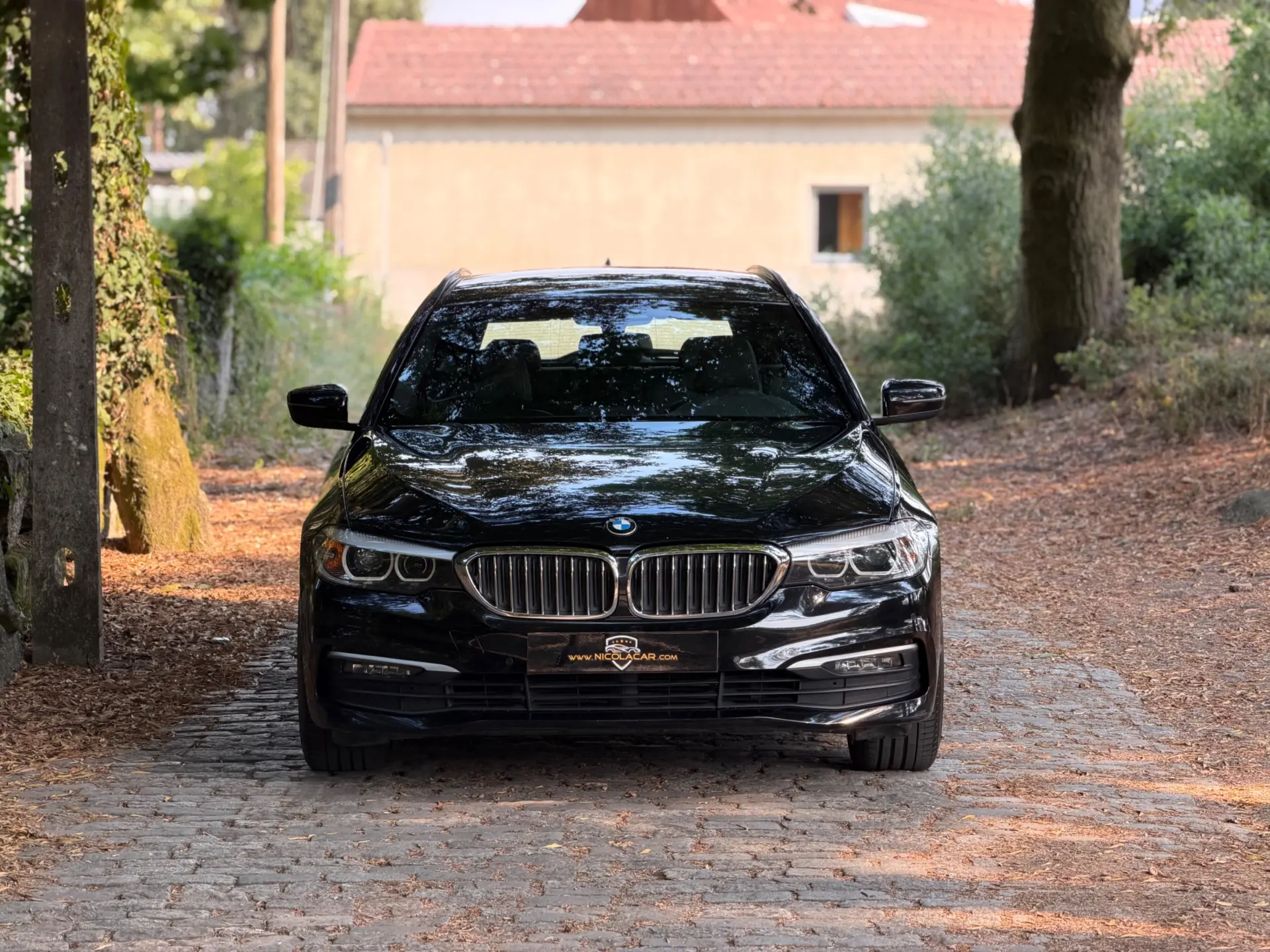 BMW 520 d Auto 3