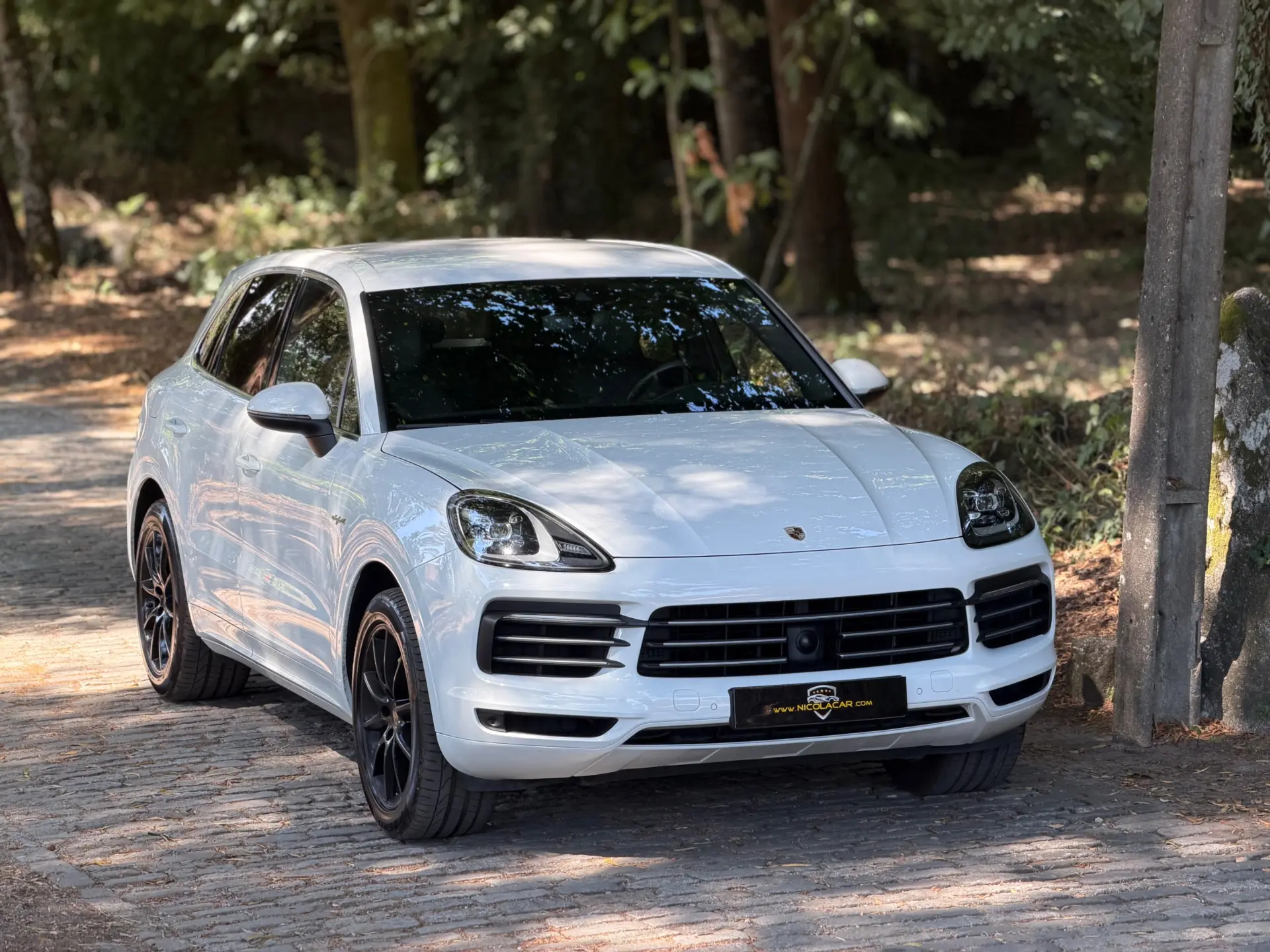 Porsche Cayenne E-Hybrid 2