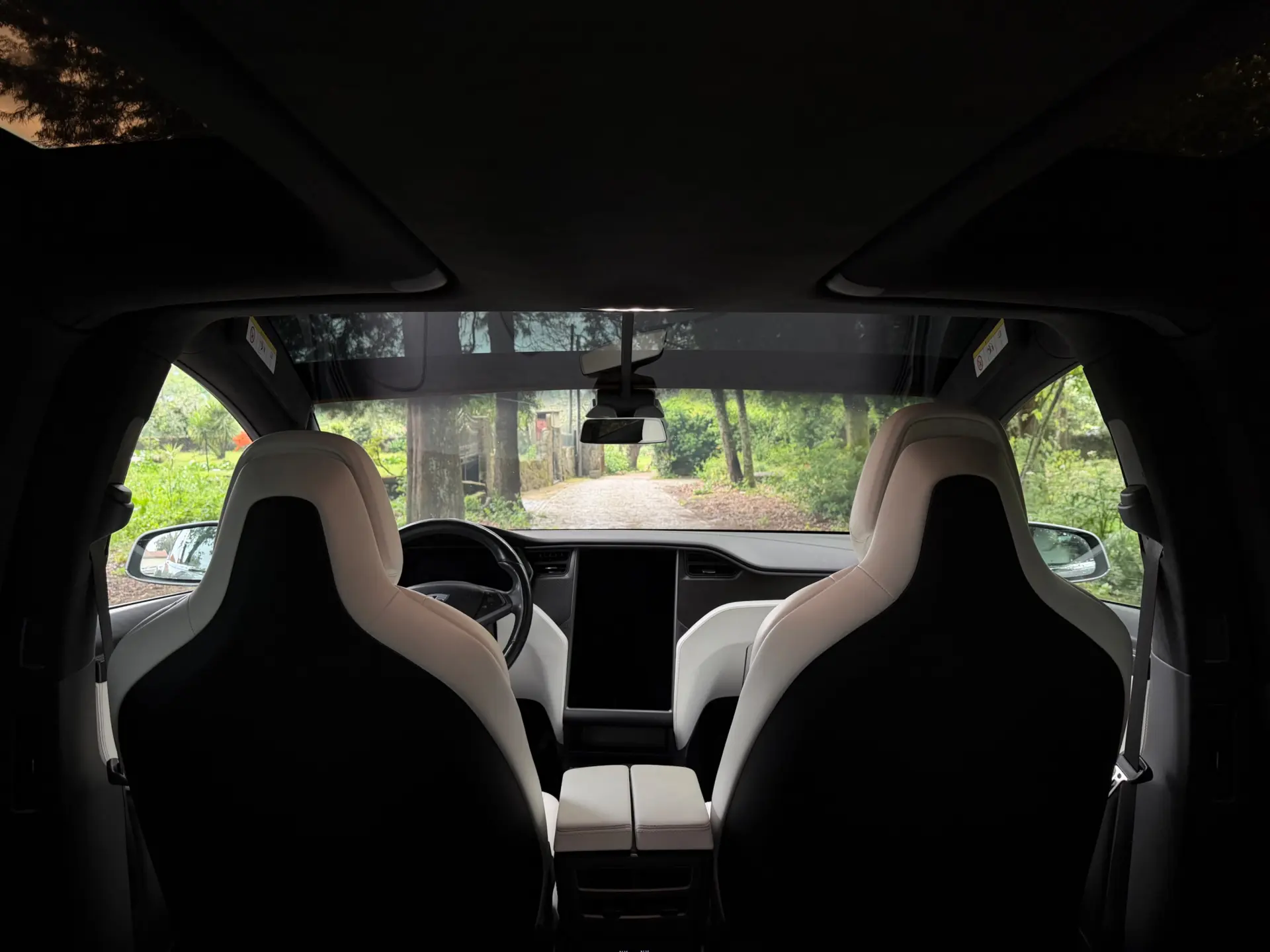 Tesla Model X 100D 44