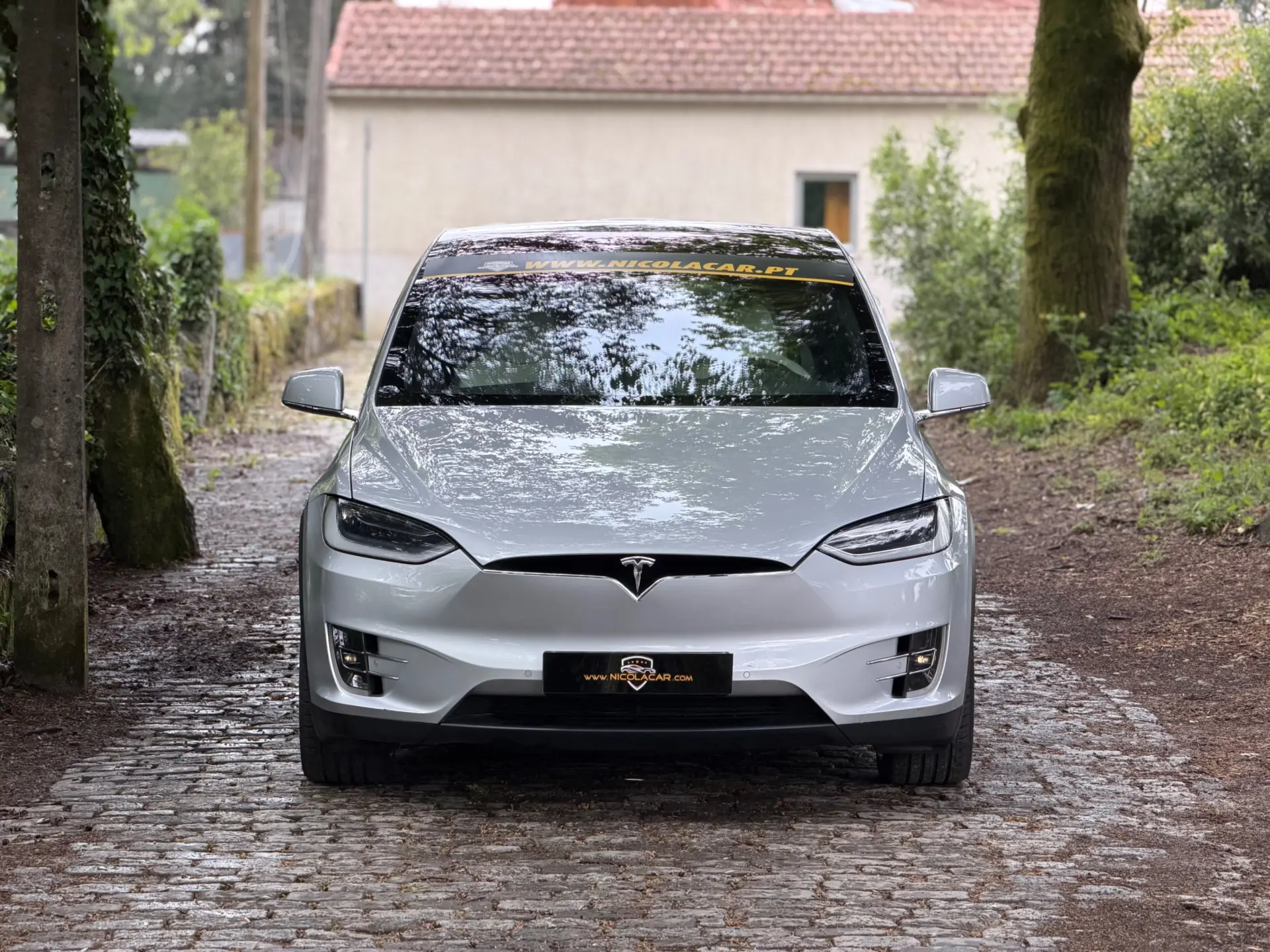 Tesla Model X 100D 32