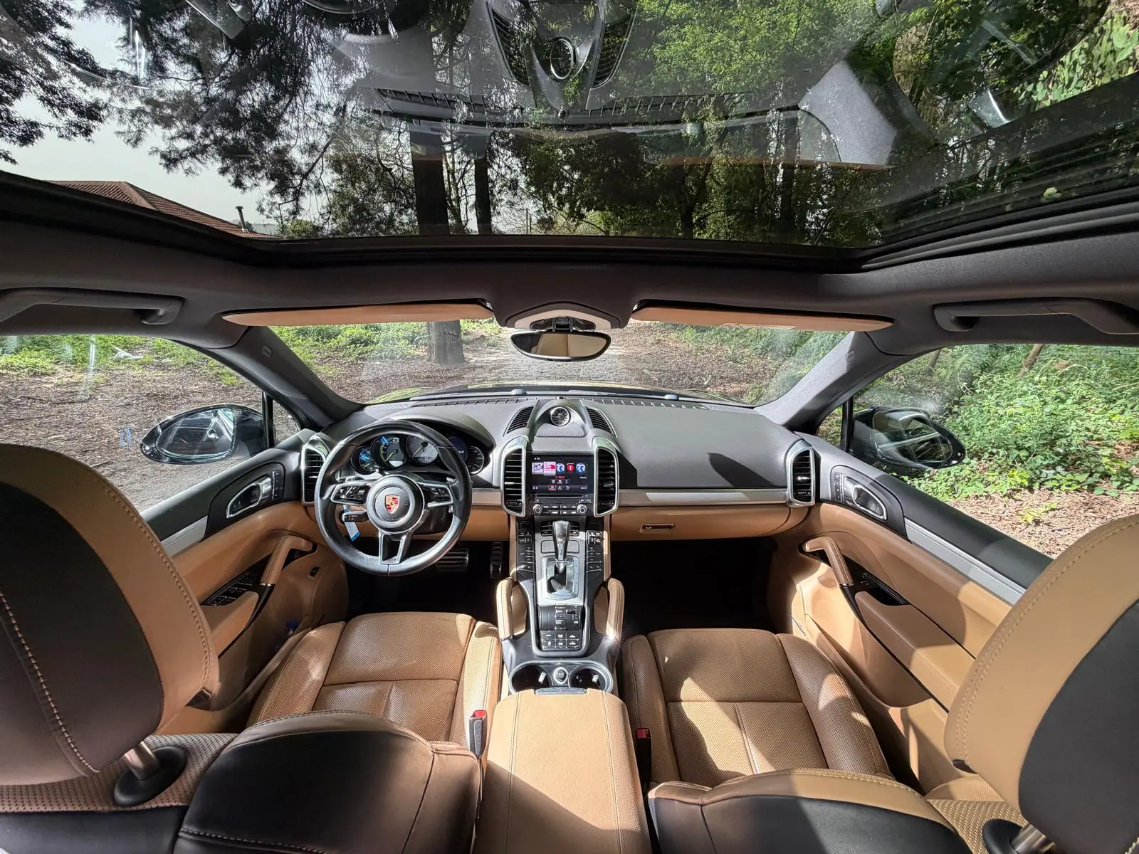 Porsche Cayenne S E-Hybrid Platinum Edition 10