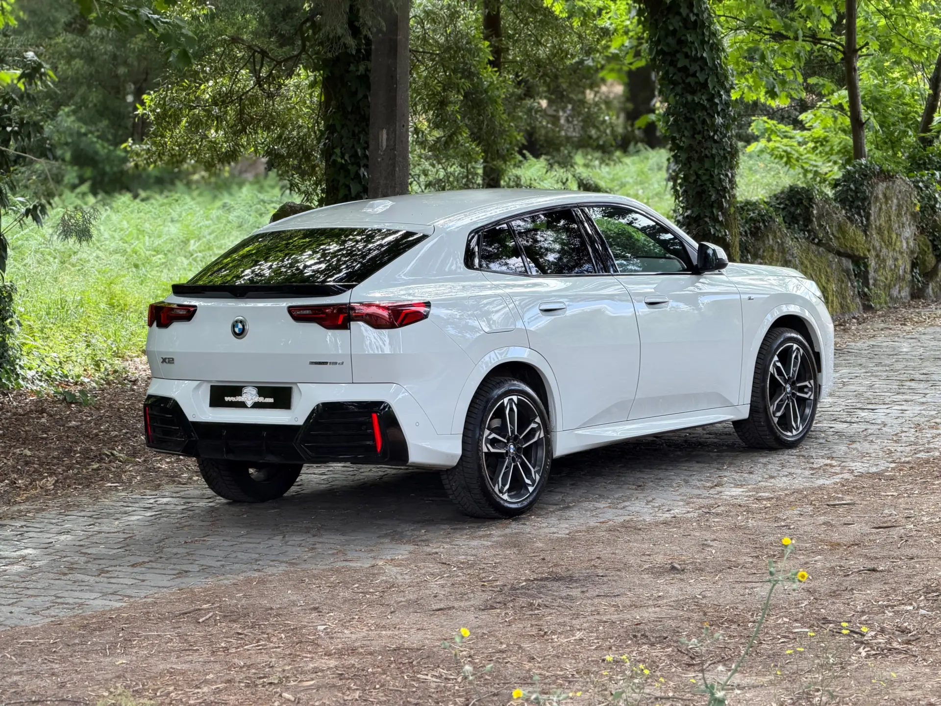 BMW X2 18 d sDrive Auto Pack M 5