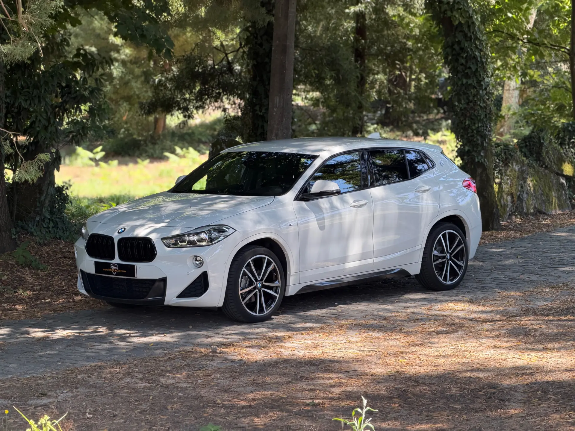 BMW X2 16 d sDrive Auto X Pack M 45