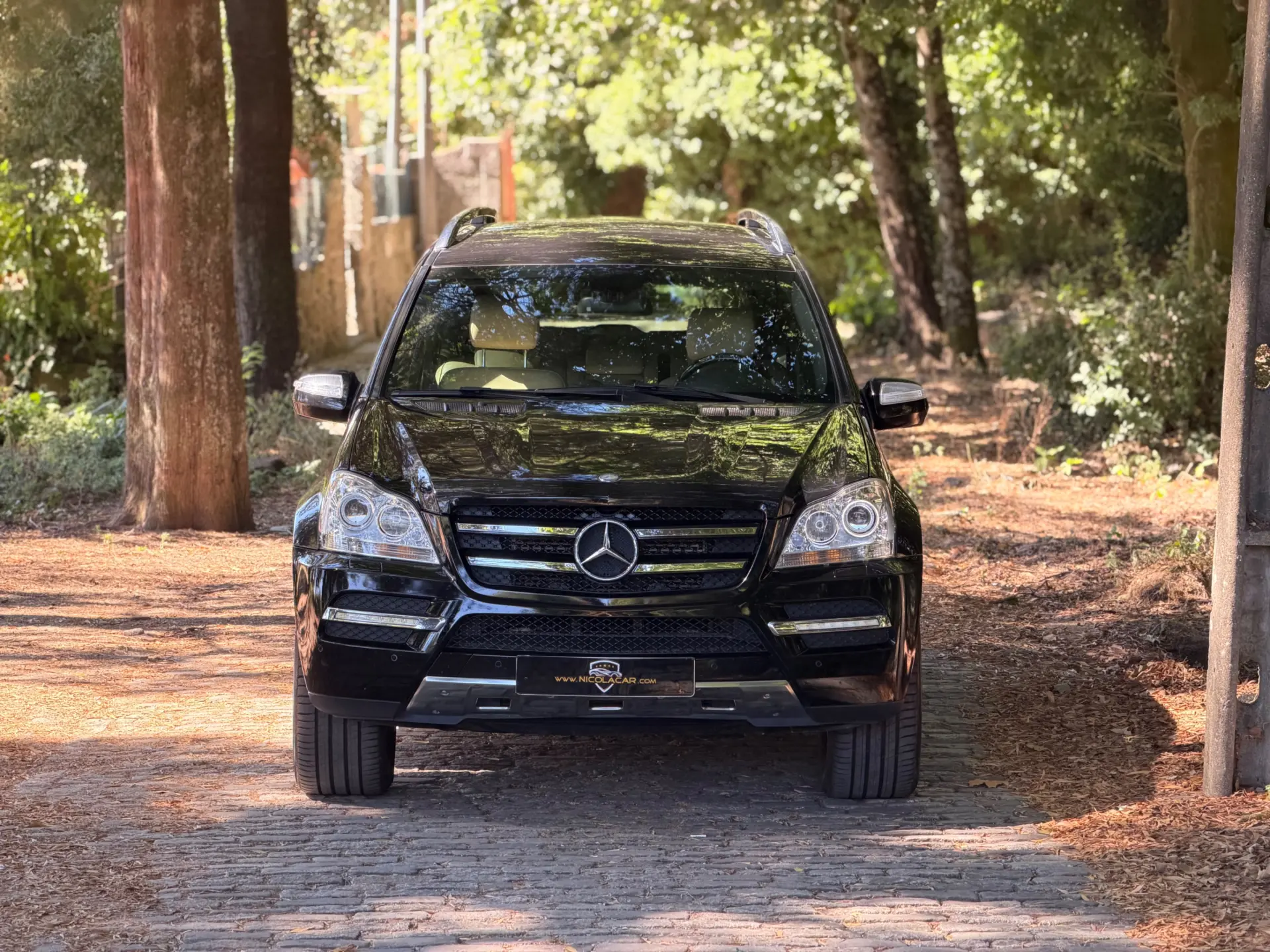 Mercedes-Benz GL 350 CDI BlueEfficiency 21