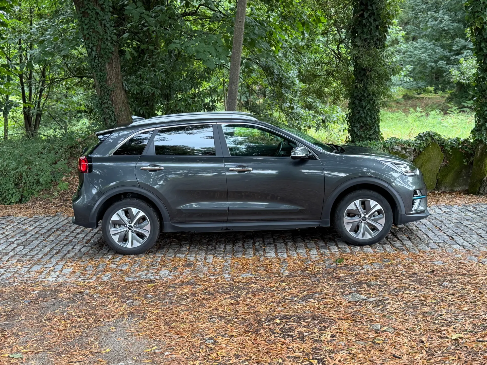 Kia e-Niro 64kWh 33