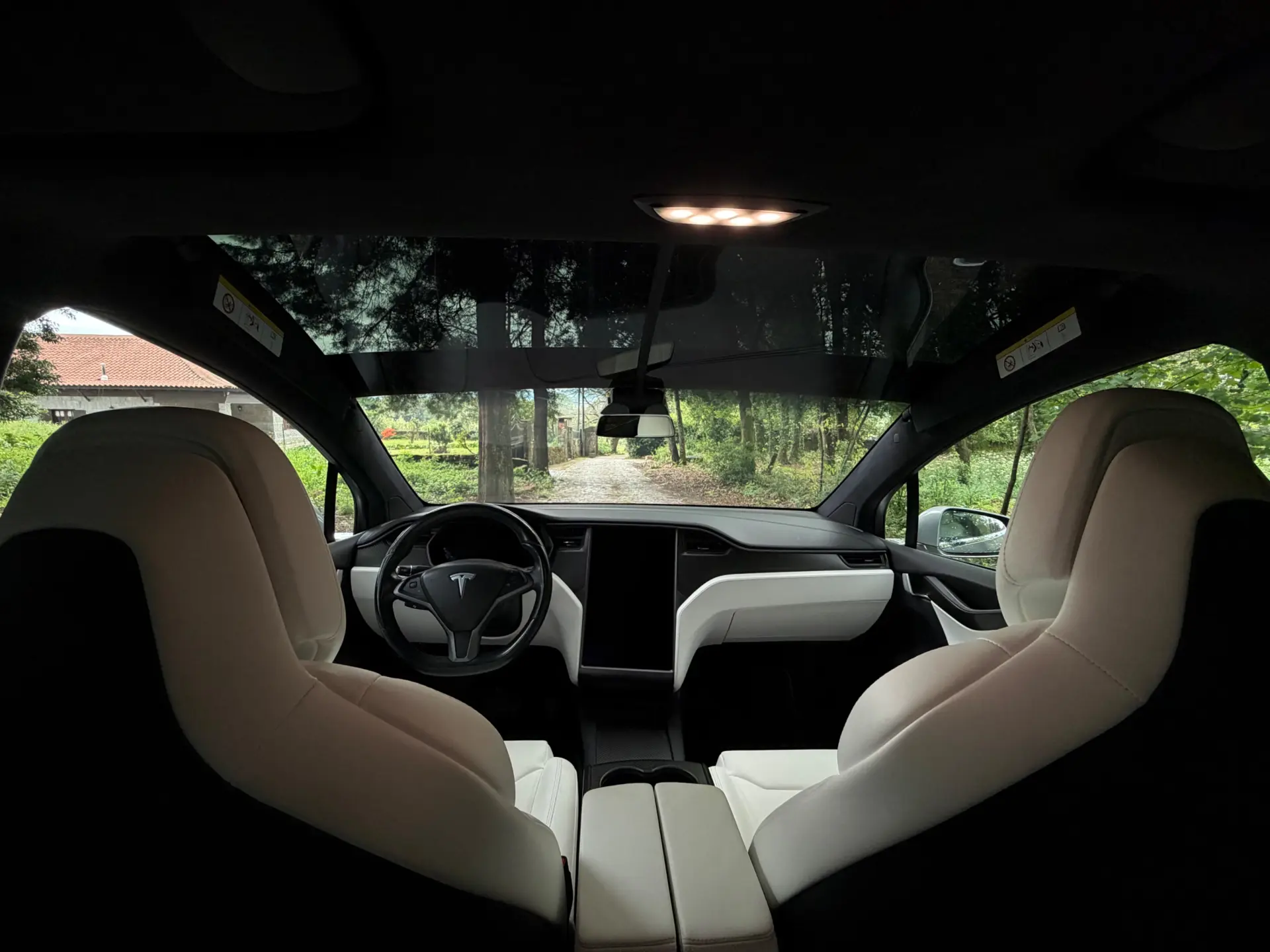 Tesla Model X 100D 43