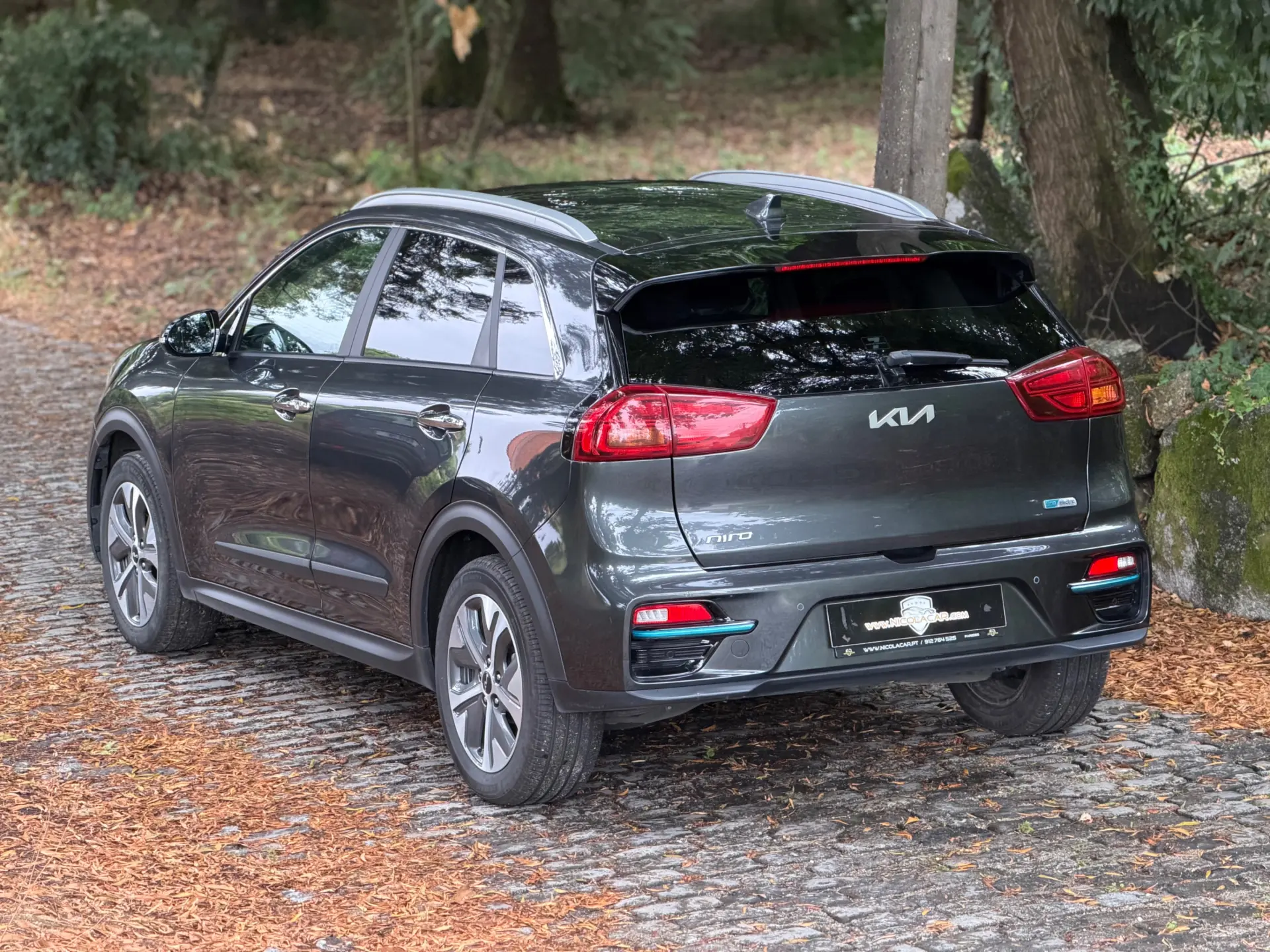 Kia e-Niro 64kWh 5