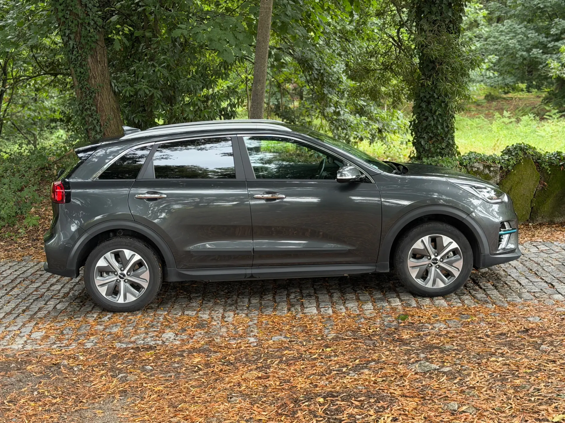 Kia e-Niro 64kWh 35