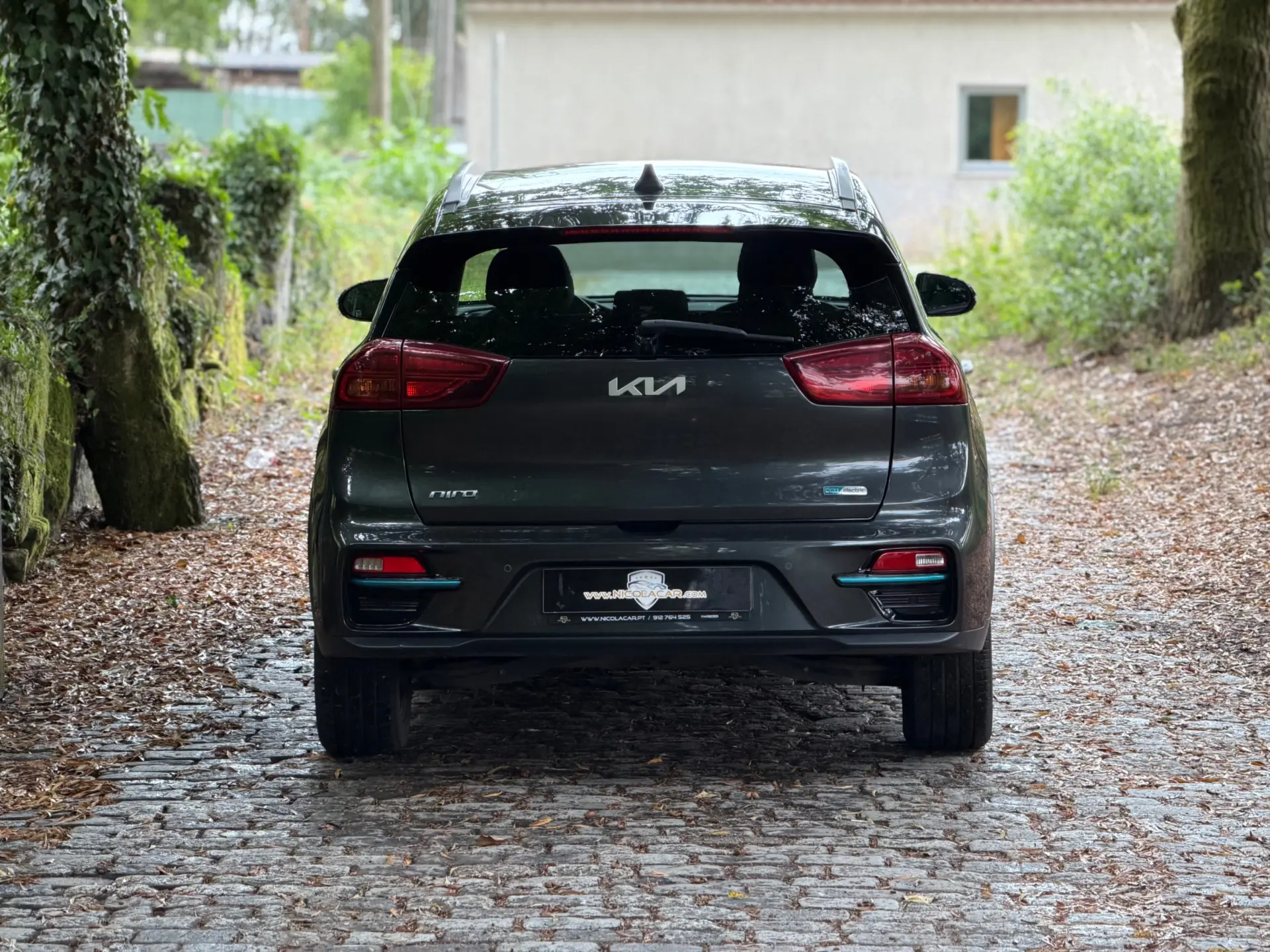Kia e-Niro 64kWh 6