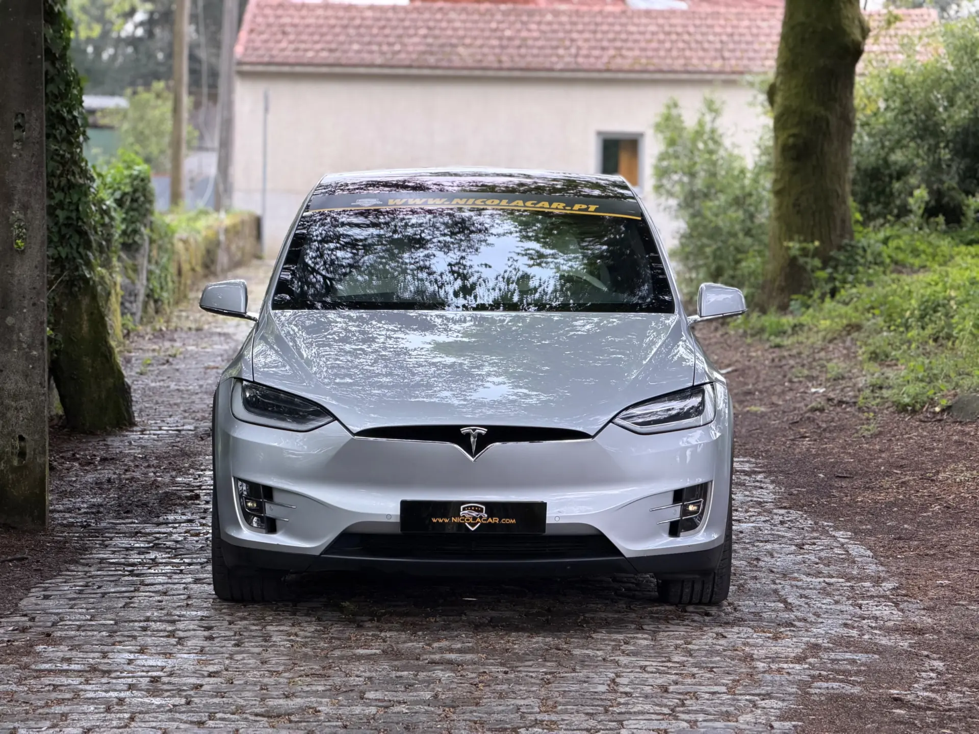 Tesla Model X 100D 33