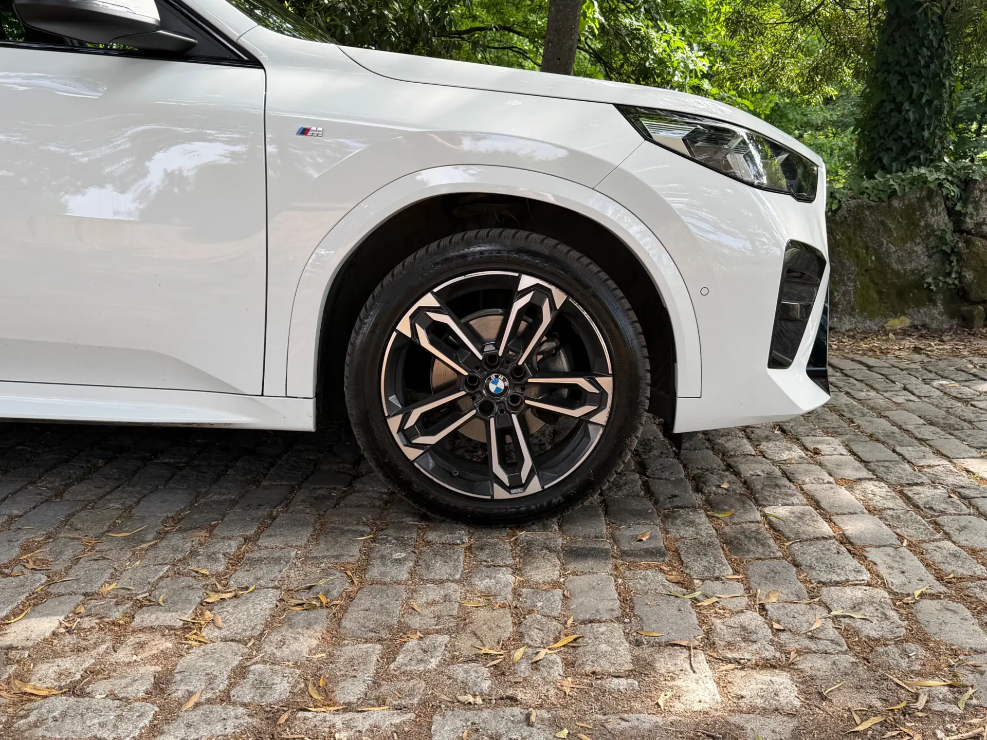 BMW X2 18 d sDrive Auto Pack M 9