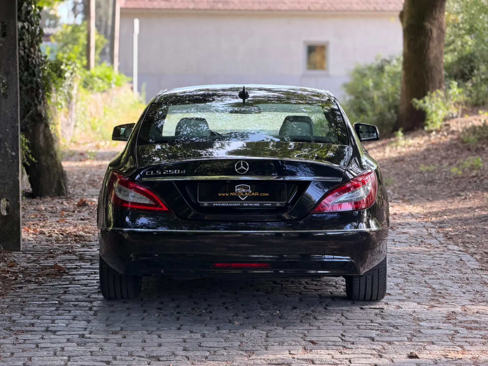 Mercedes-Benz CLS 250 CDi BlueEfficiency 57