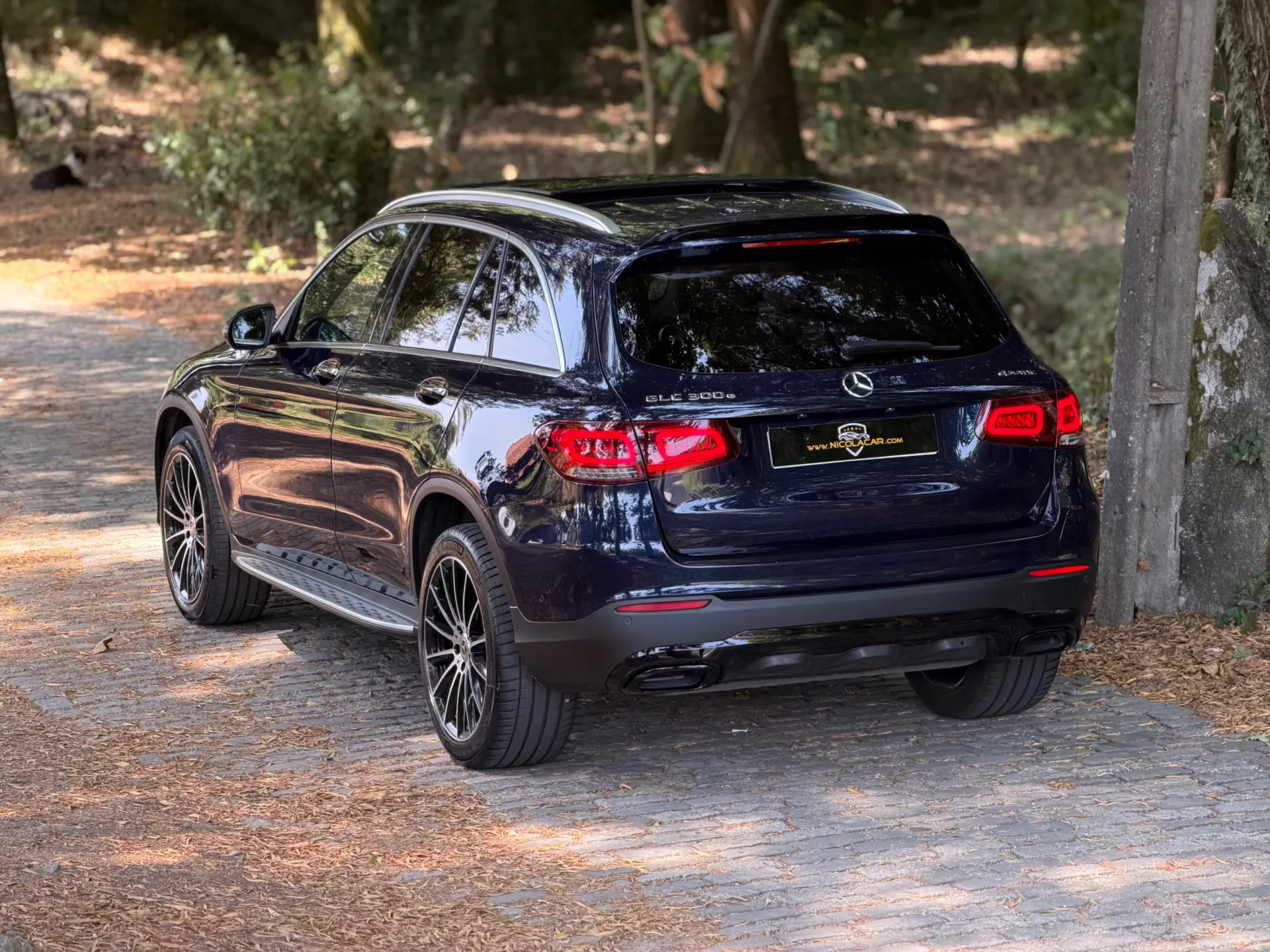 Mercedes-Benz GLC 300 e 4Matic 31