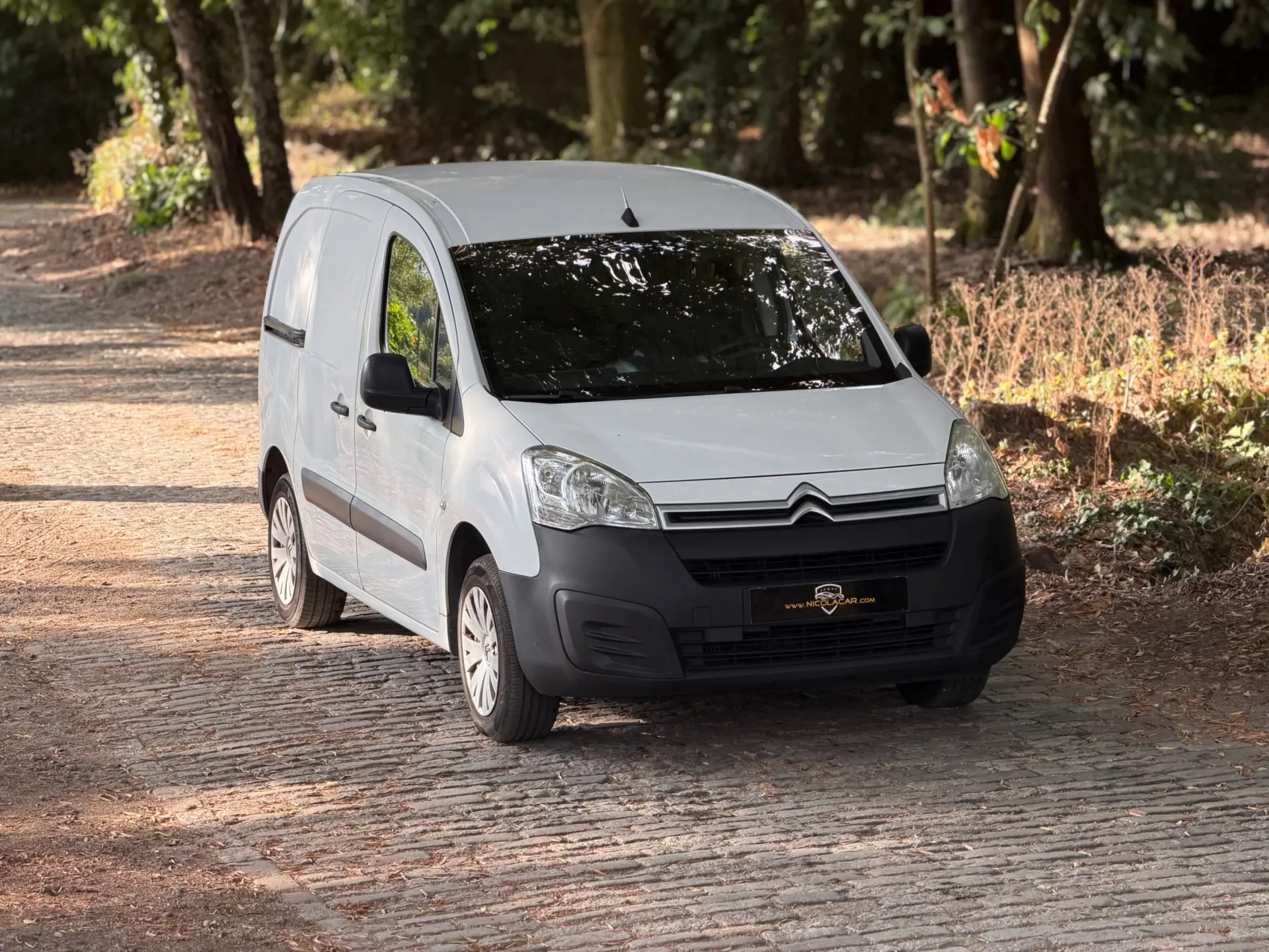 Citroen Berlingo 1.6 BlueHDi Feel 2