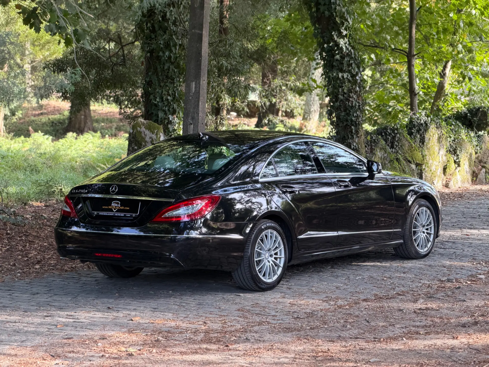 Mercedes-Benz CLS 250 CDi BlueEfficiency 51