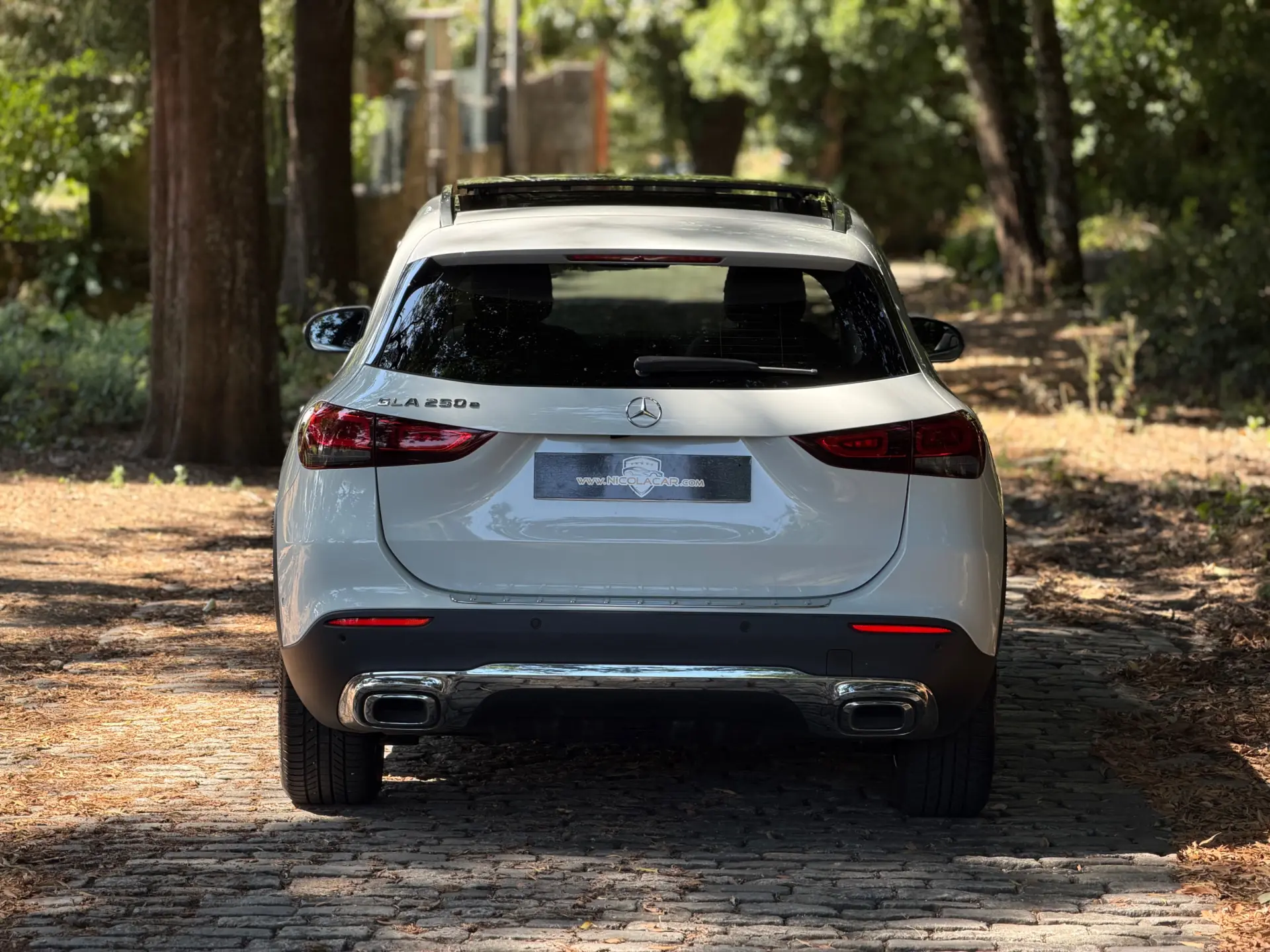 Mercedes-Benz GLA 250 e 8G-DCT Special Edition 61
