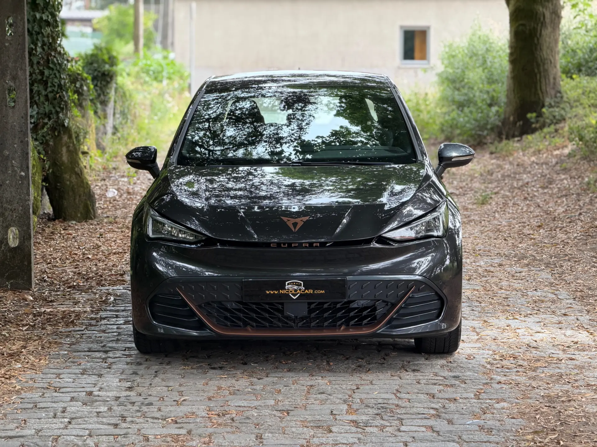Cupra Born 58 kWh 39