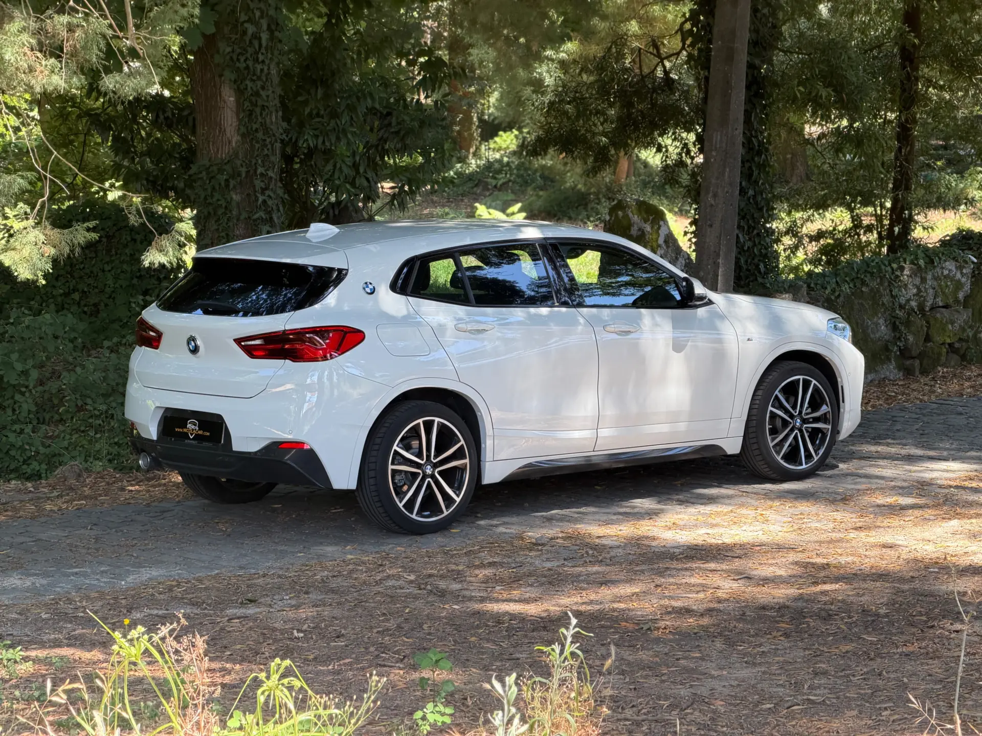 BMW X2 16 d sDrive Auto X Pack M 46