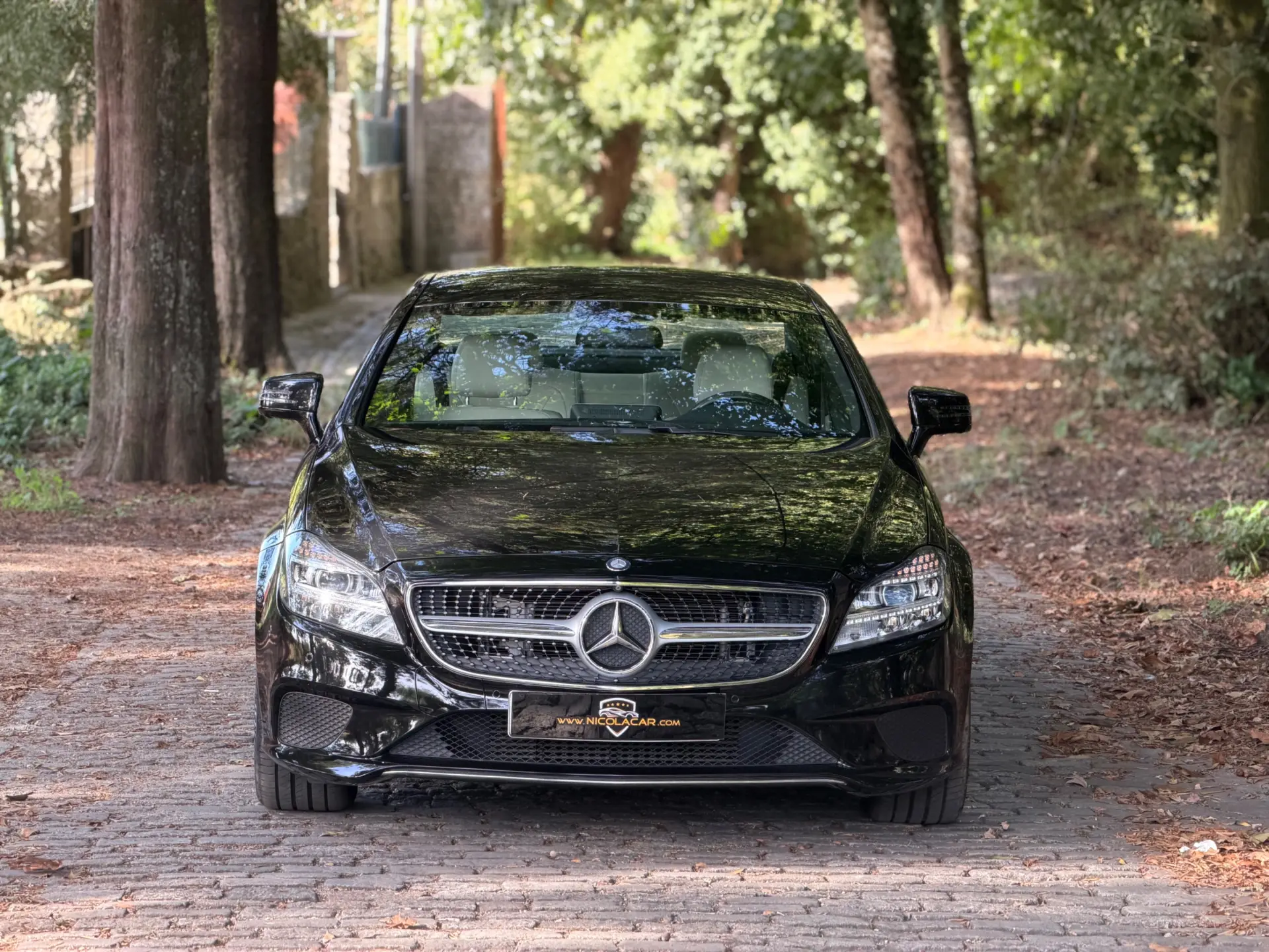 Mercedes-Benz CLS 250 CDi BlueEfficiency 3