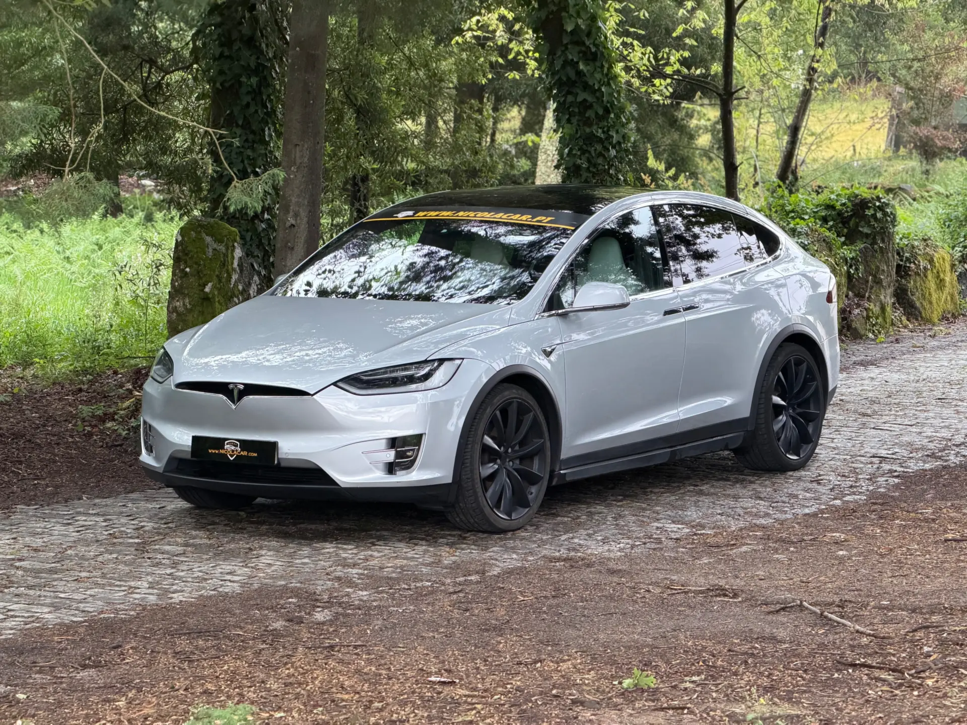Tesla Model X 100D 3
