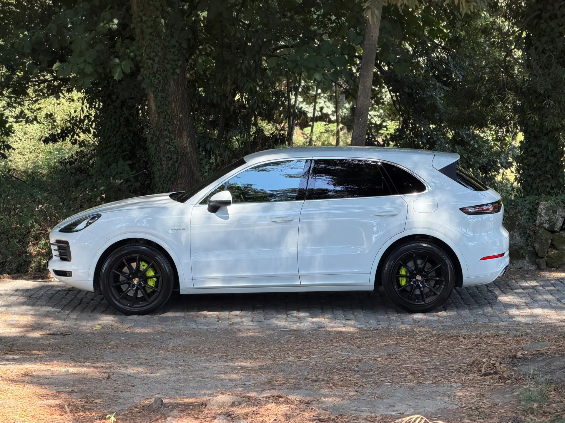 Porsche Cayenne E-Hybrid 65