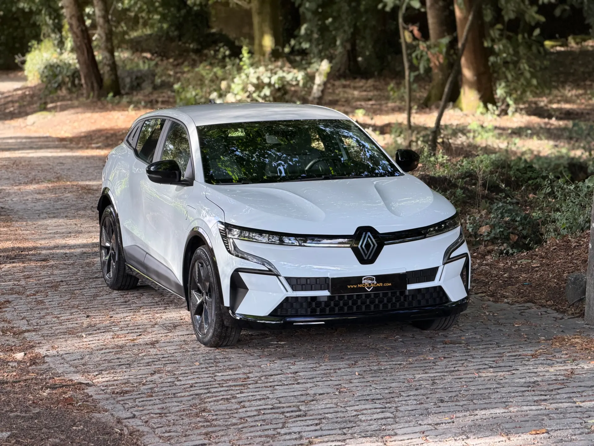 Renault Mégane E-Tech 130 Comfort Range Evolution 48