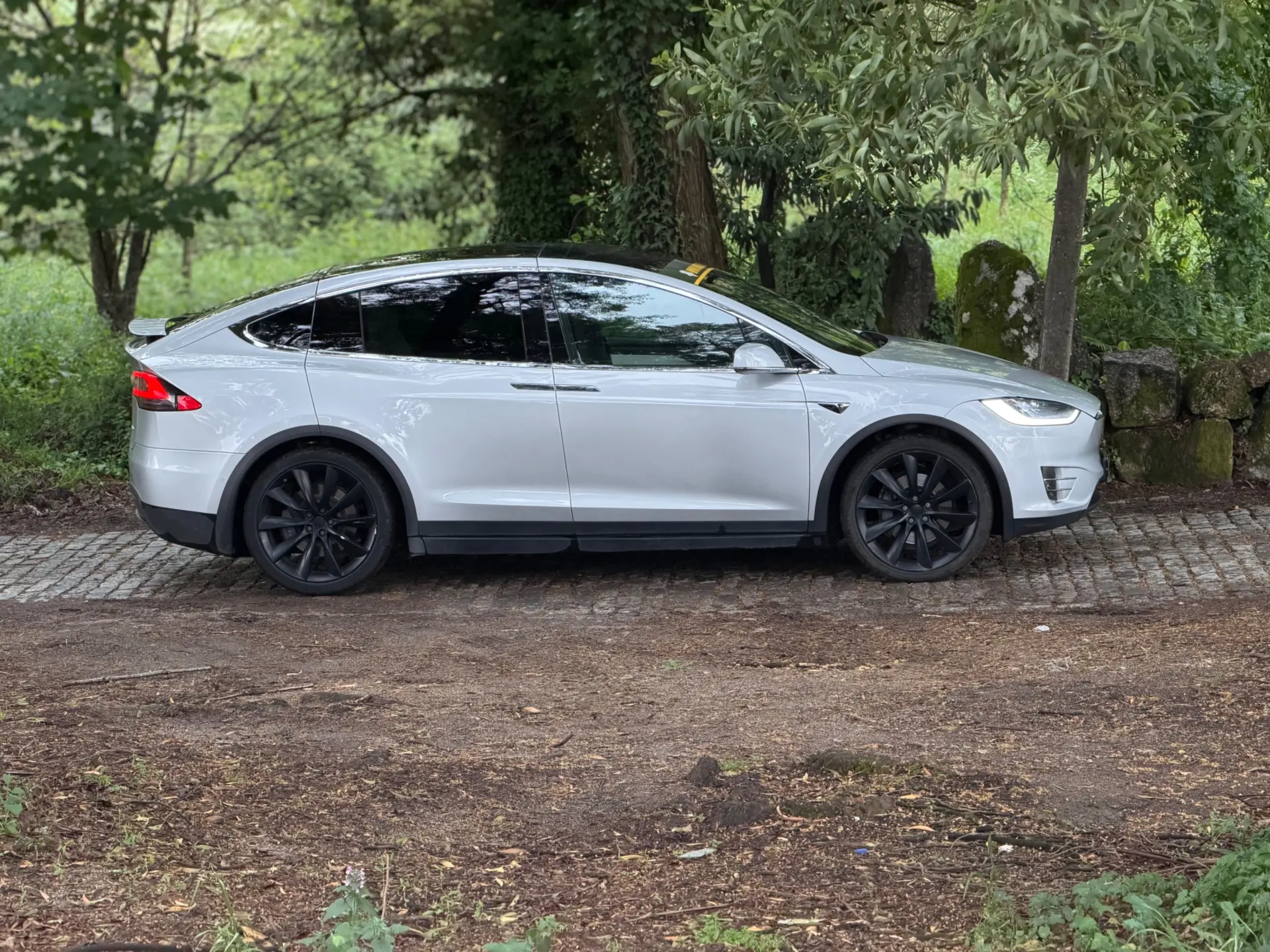 Tesla Model X 100D 4