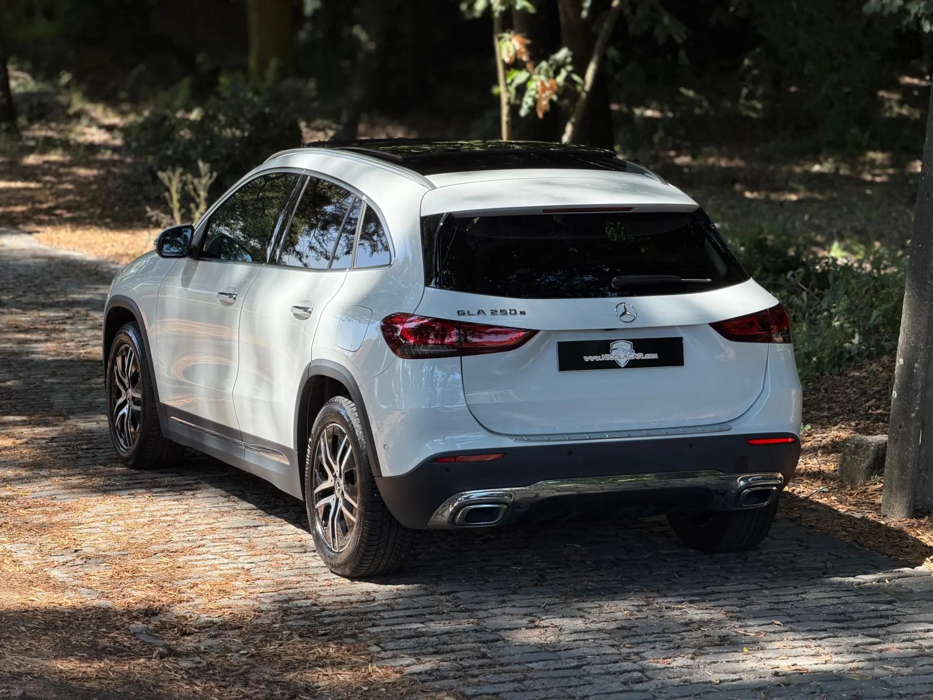Mercedes-Benz GLA 250 e 8G-DCT Special Edition 65