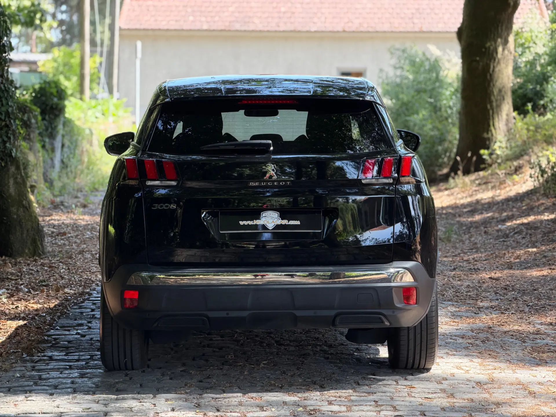 Peugeot 3008 1.2 PureTech Allure Pack EAT8 6