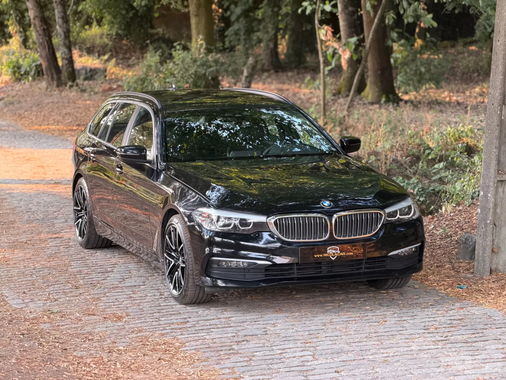 BMW 520 d Auto 45