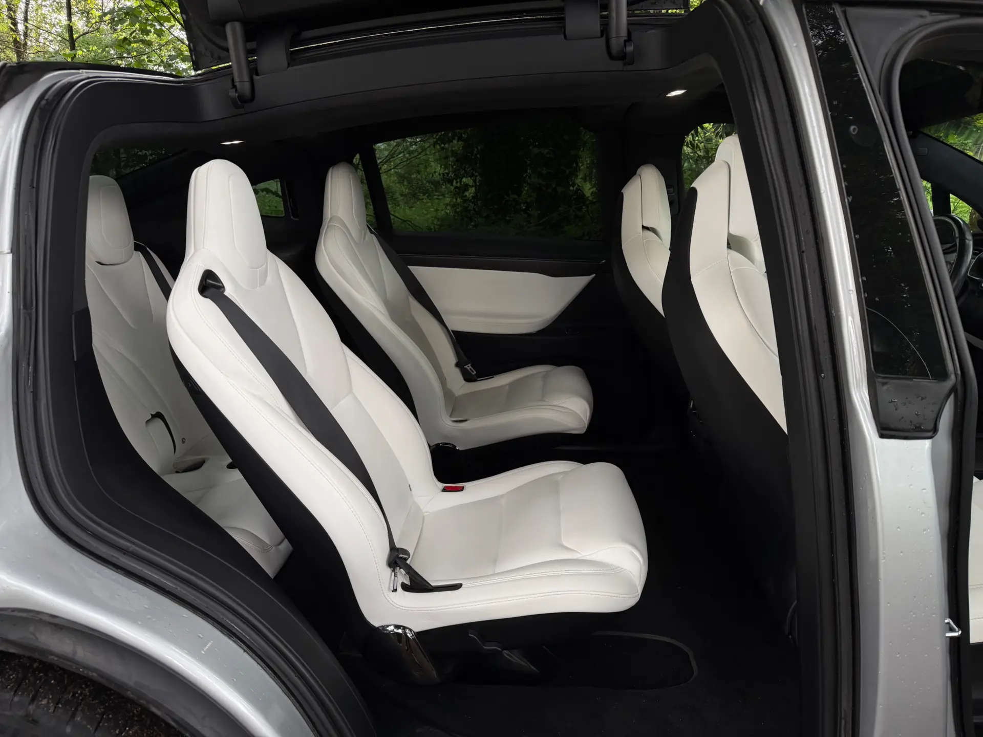 Tesla Model X 100D 17