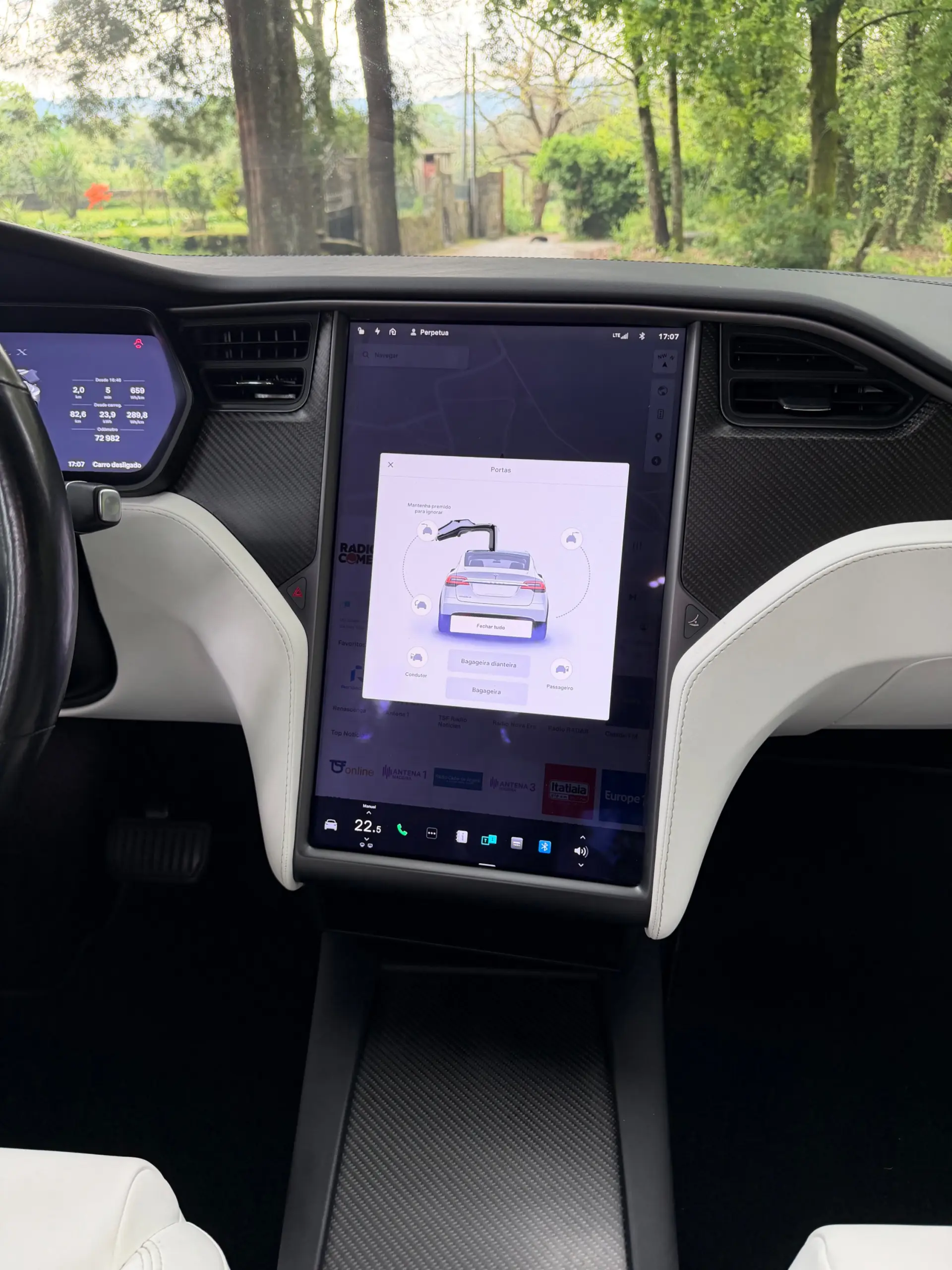 Tesla Model X 100D 29