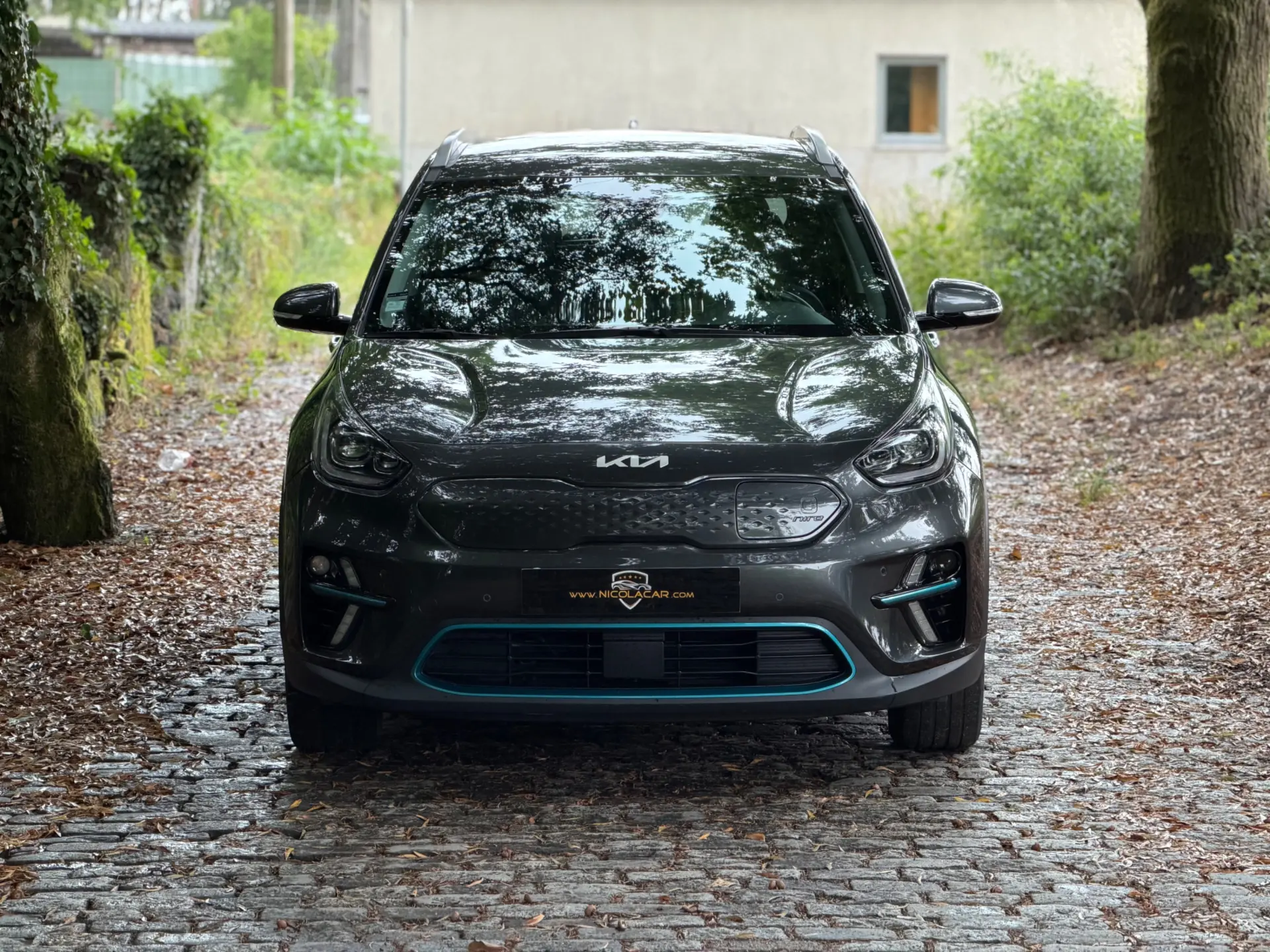 Kia e-Niro 64kWh 37