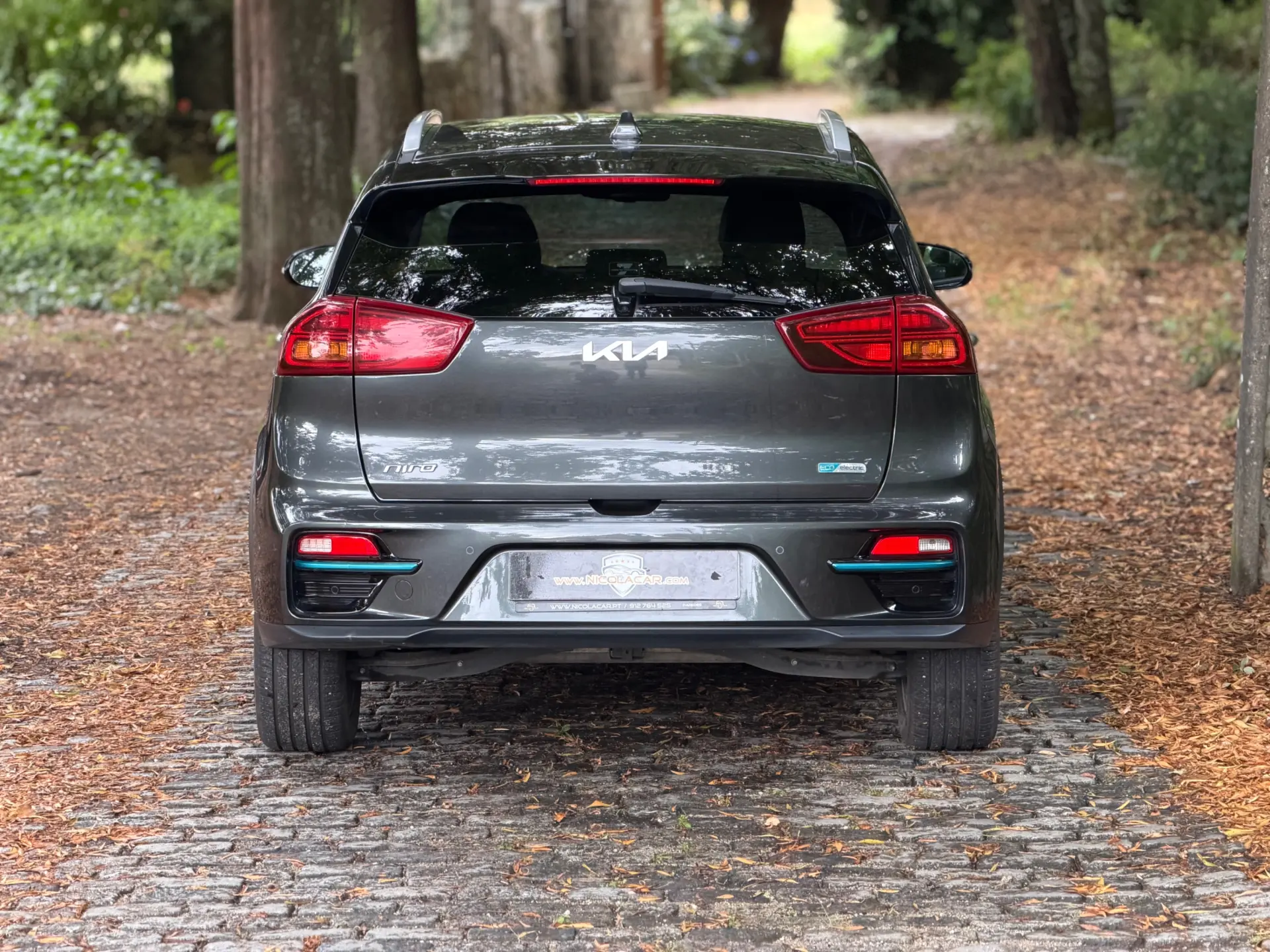 Kia e-Niro 64kWh 38