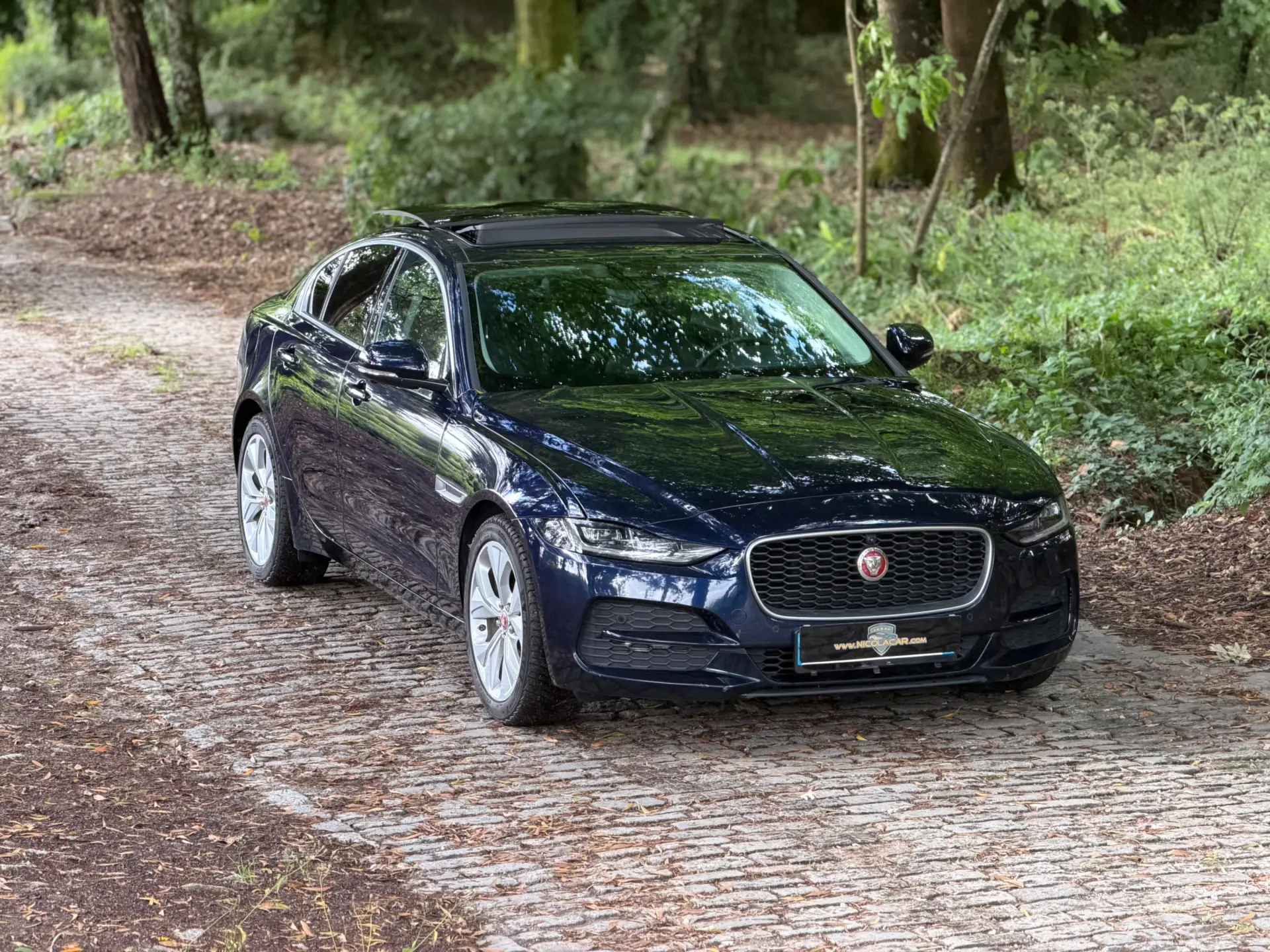Jaguar XE 2.0 D R-Dynamic S 2