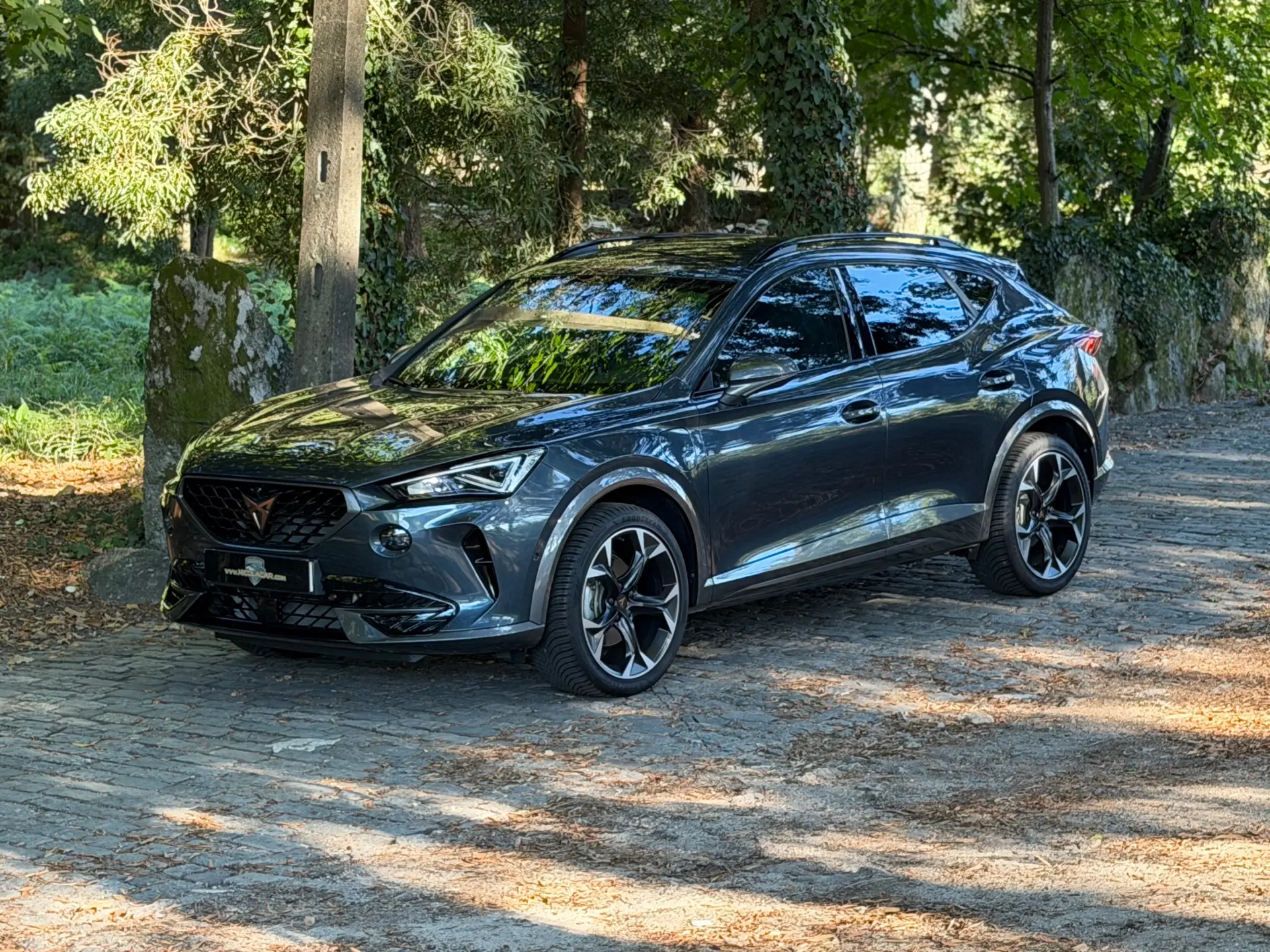 Cupra Formentor 1.4 e-Hybrid DSG 41