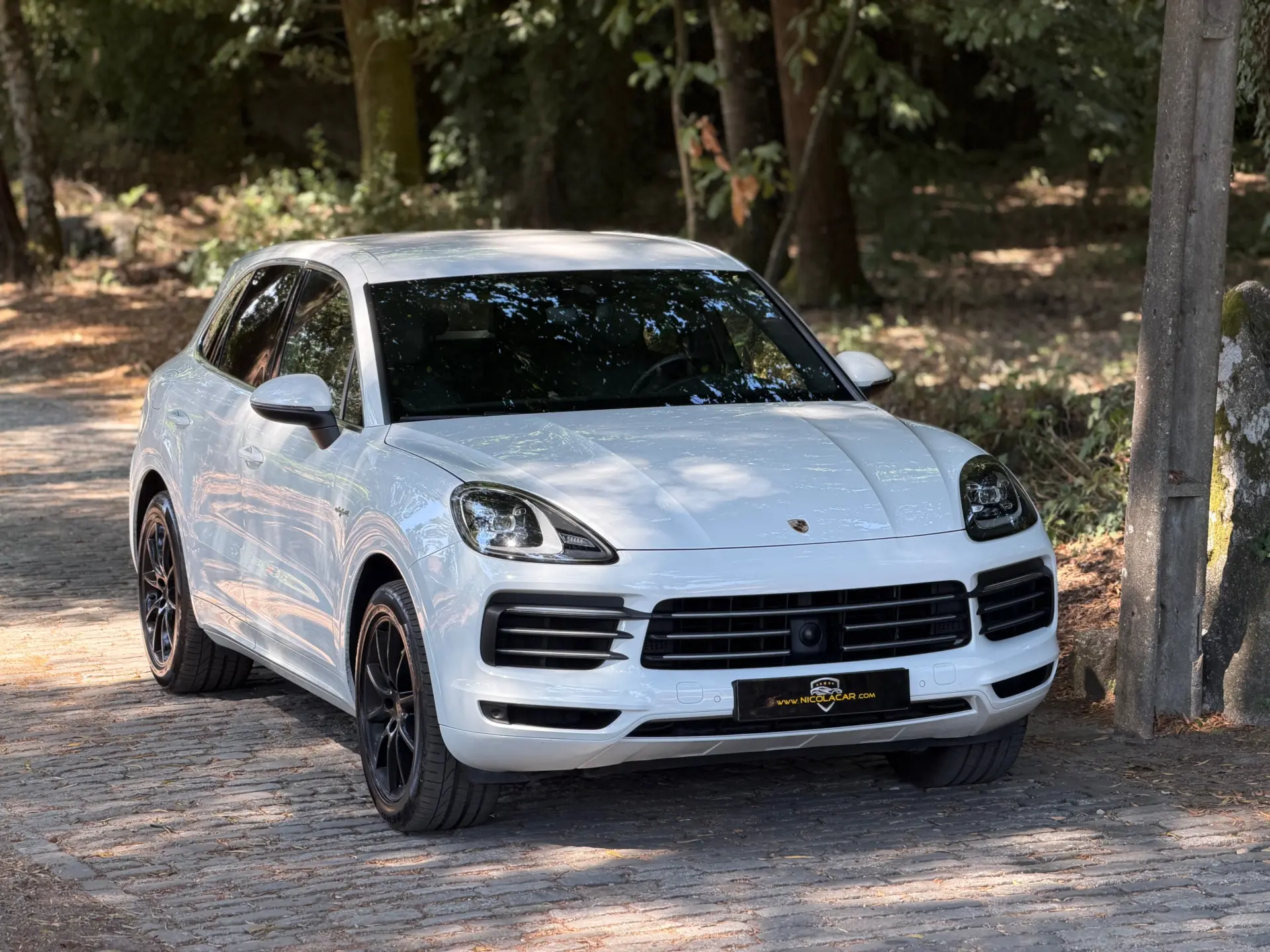 Porsche Cayenne E-Hybrid 58