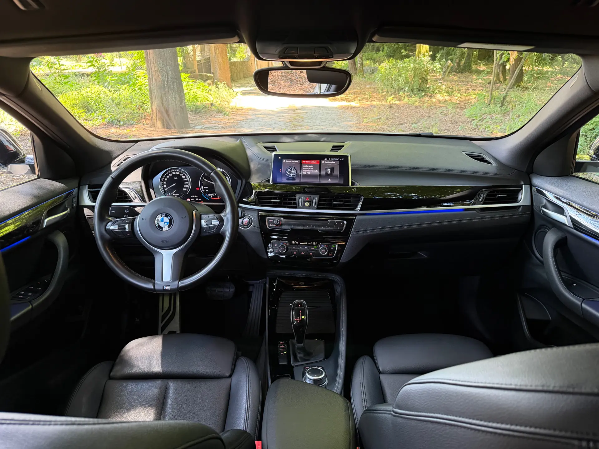 BMW X2 16 d sDrive Auto X Pack M 12