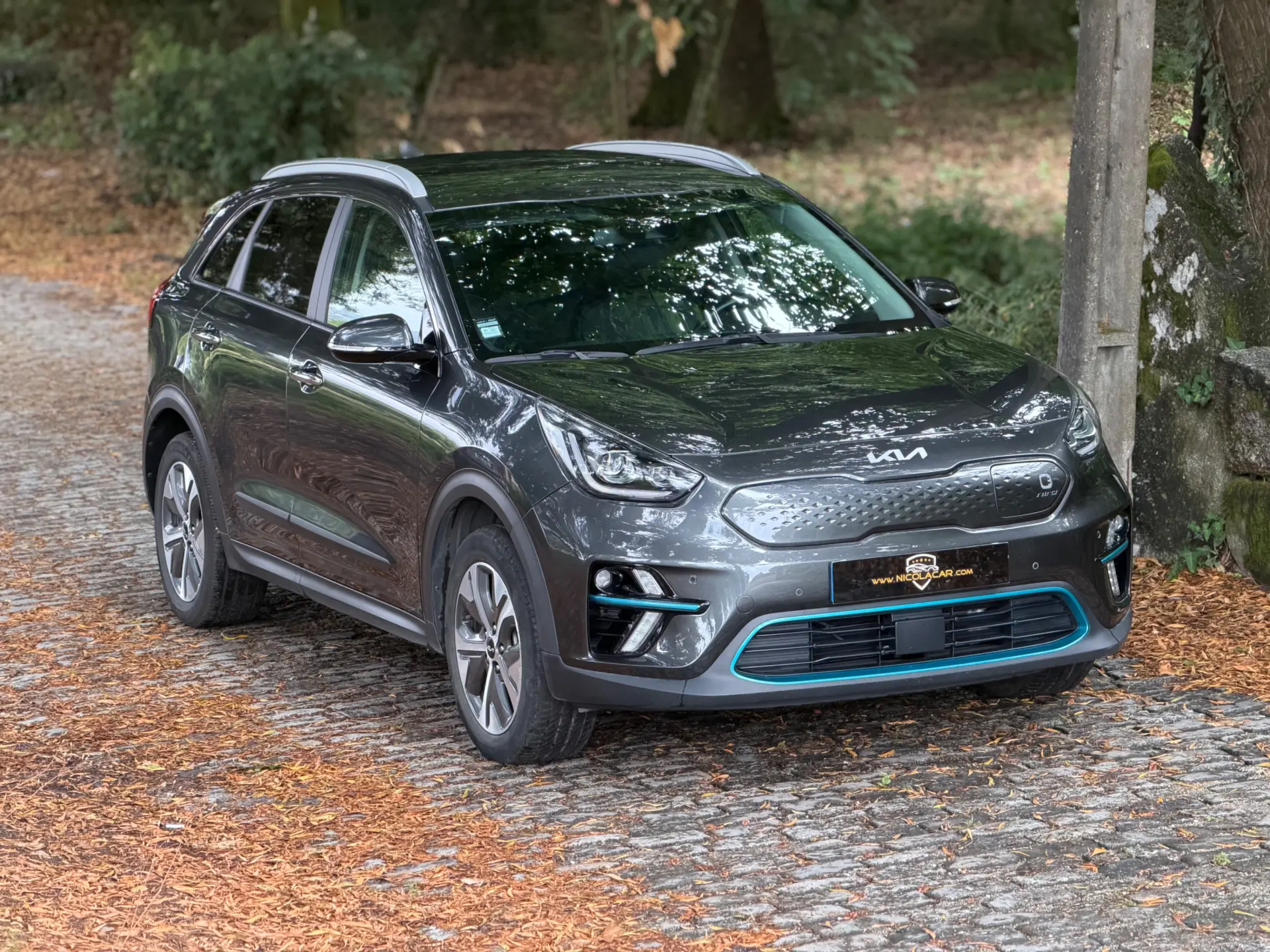 Kia e-Niro 64kWh 2
