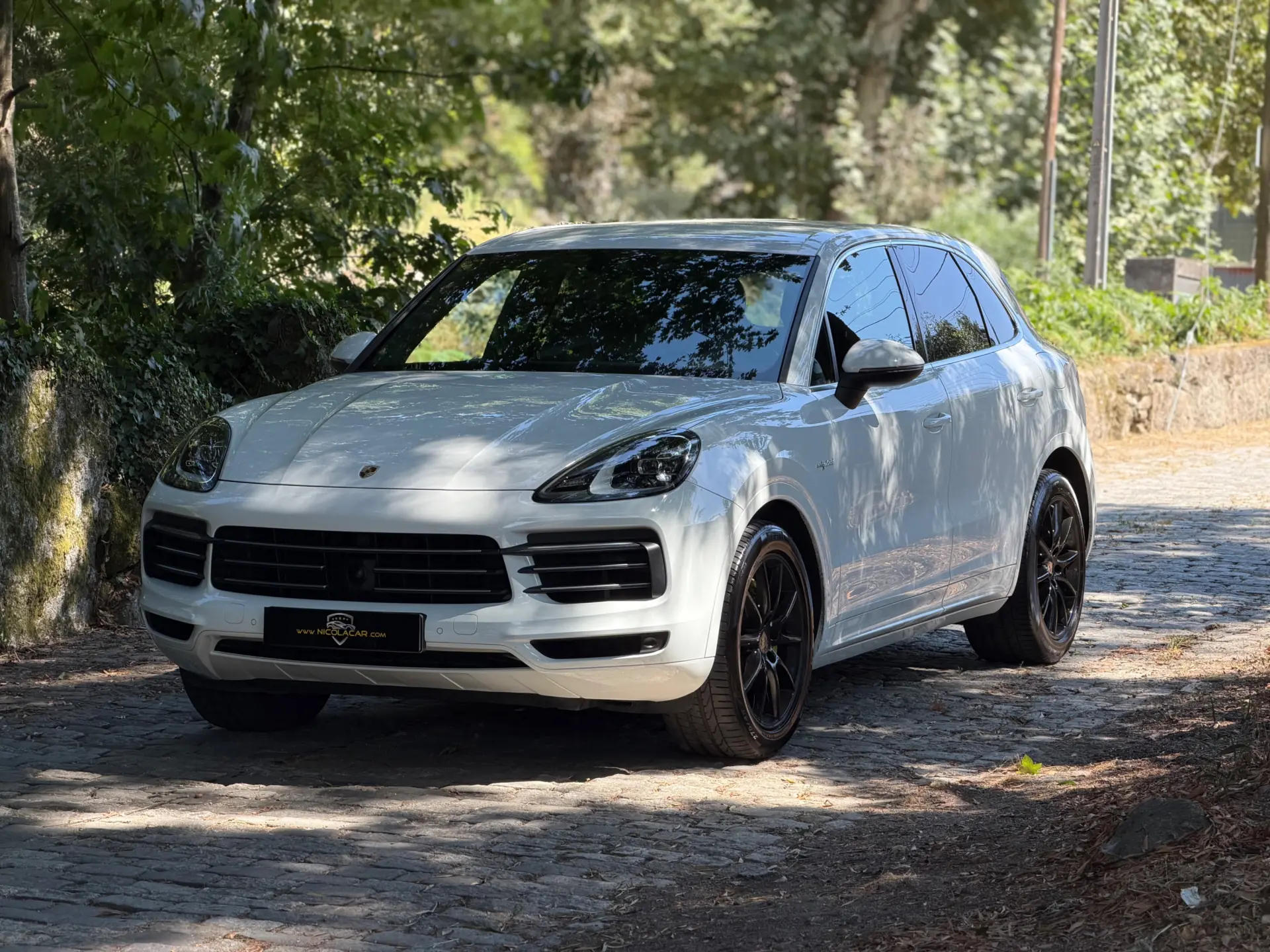 Porsche Cayenne E-Hybrid 60